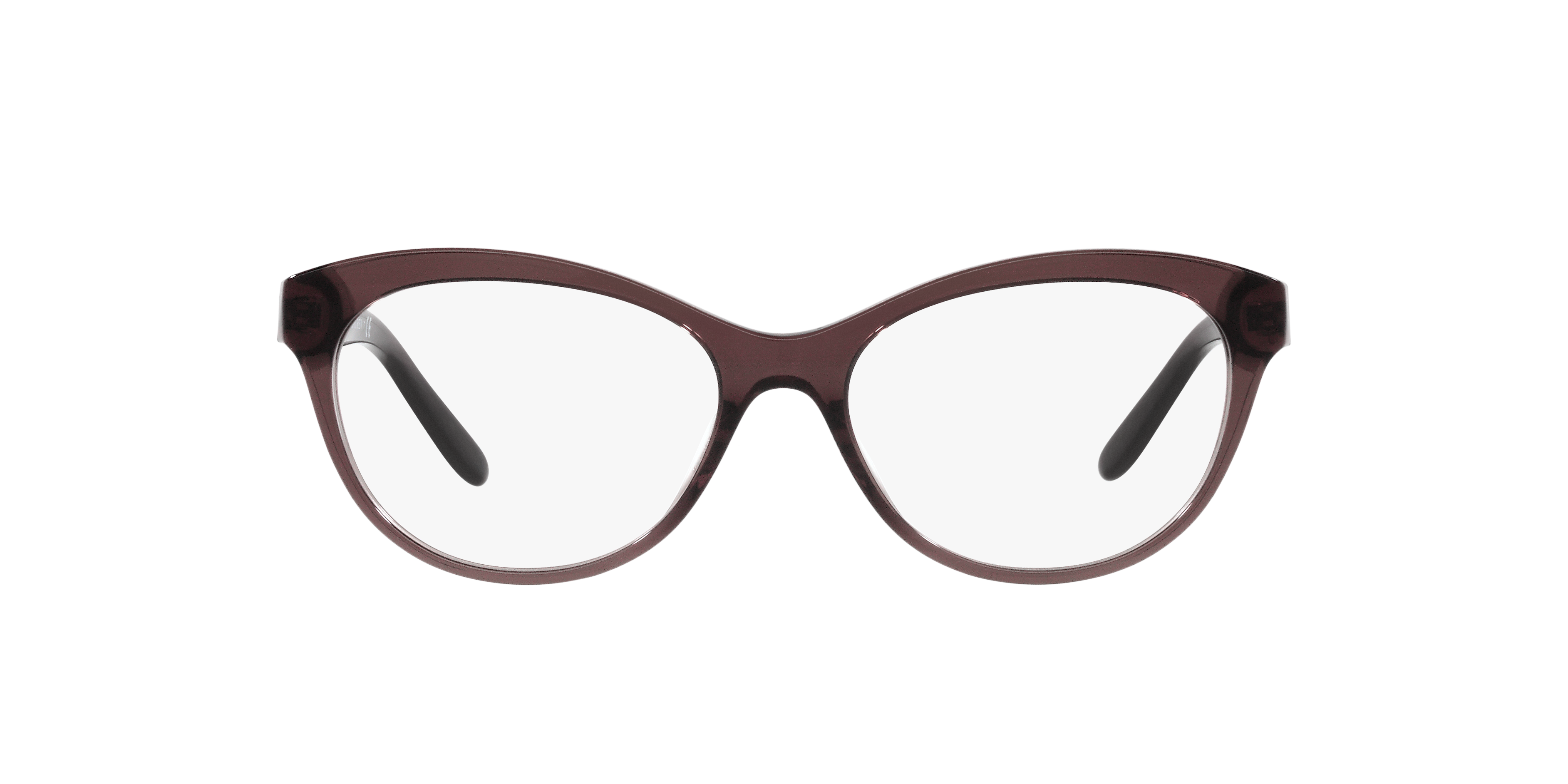 Ralph Lauren RL6216U 5855 53