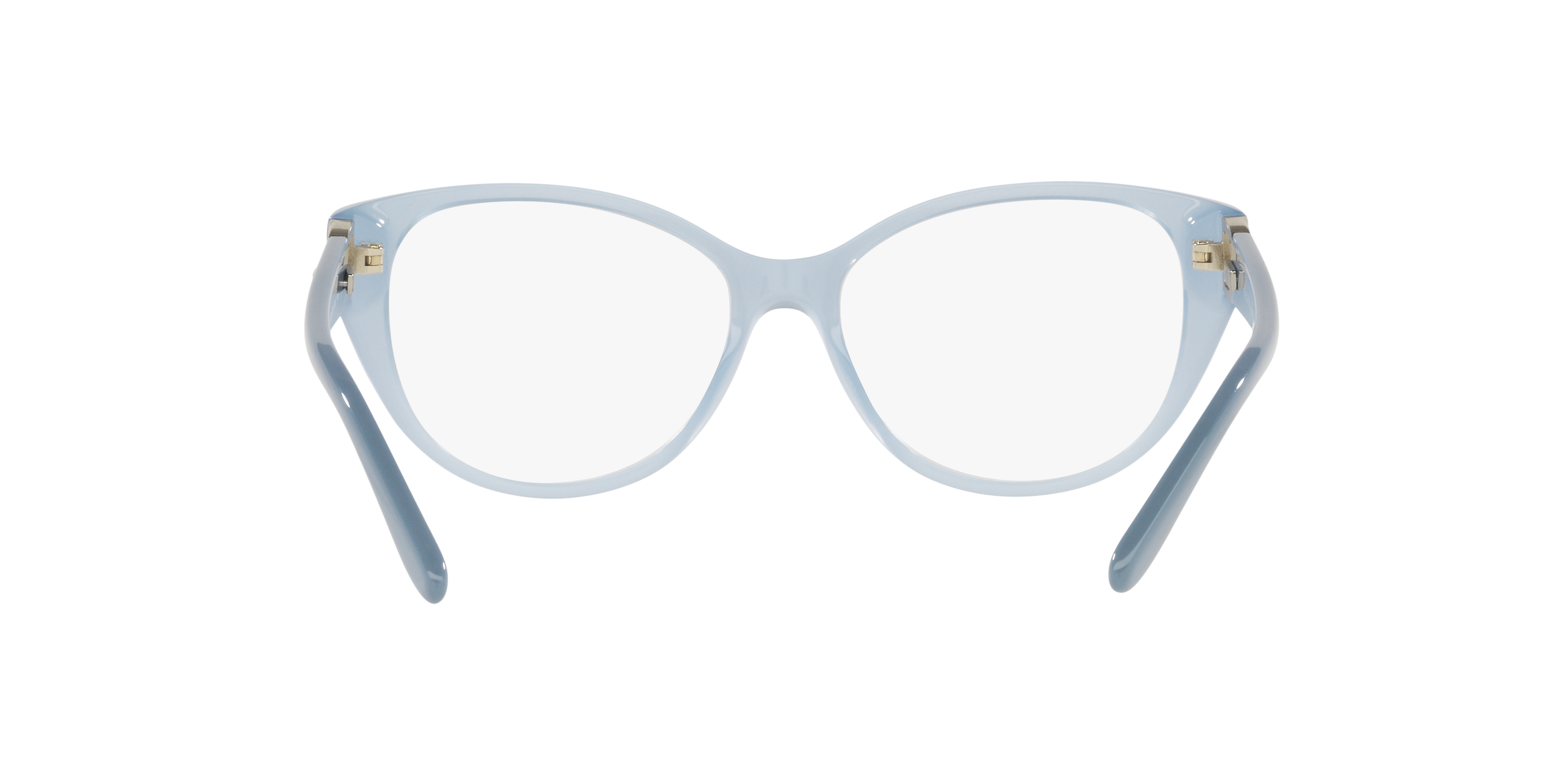 Ralph Lauren RL6223B 5743 53