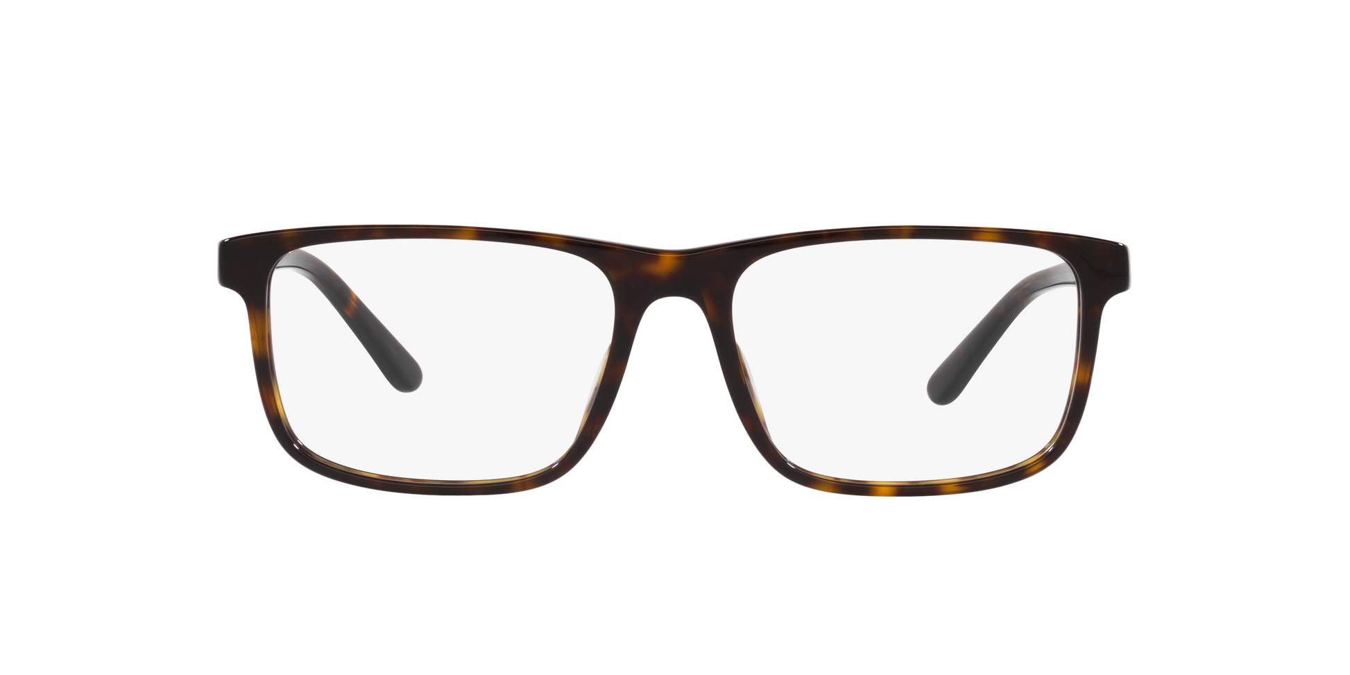 Ralph Lauren RL6225U 5003 56