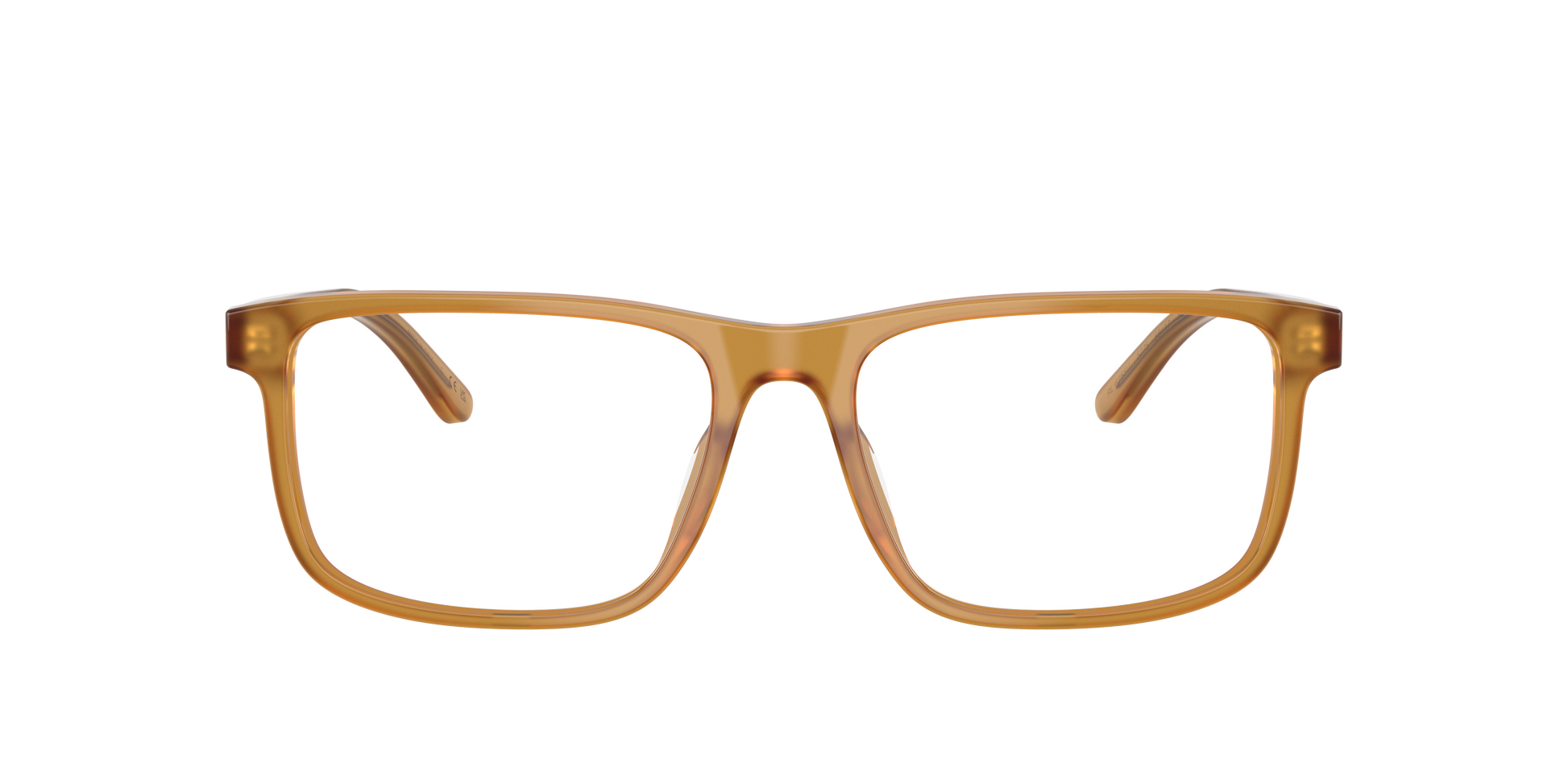 Ralph Lauren RL6225U 5275