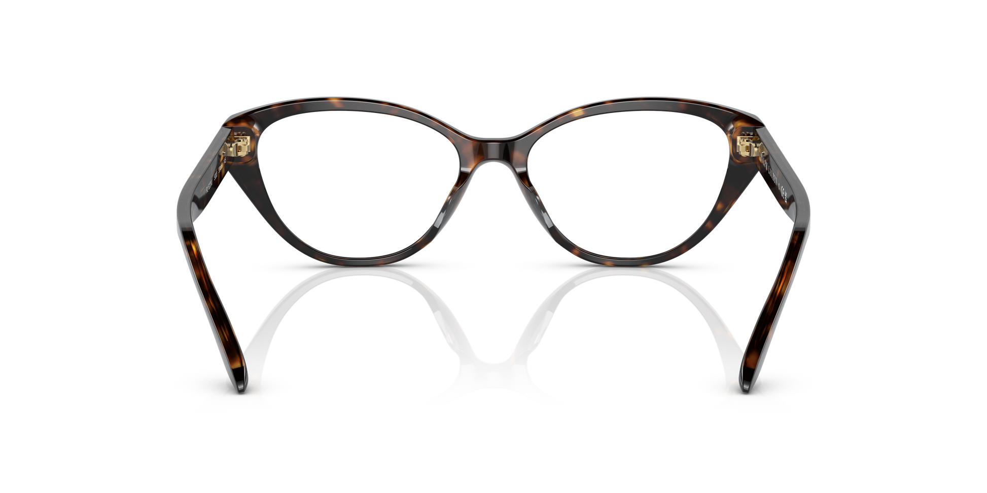 Ralph Lauren RL6228U 5003 53