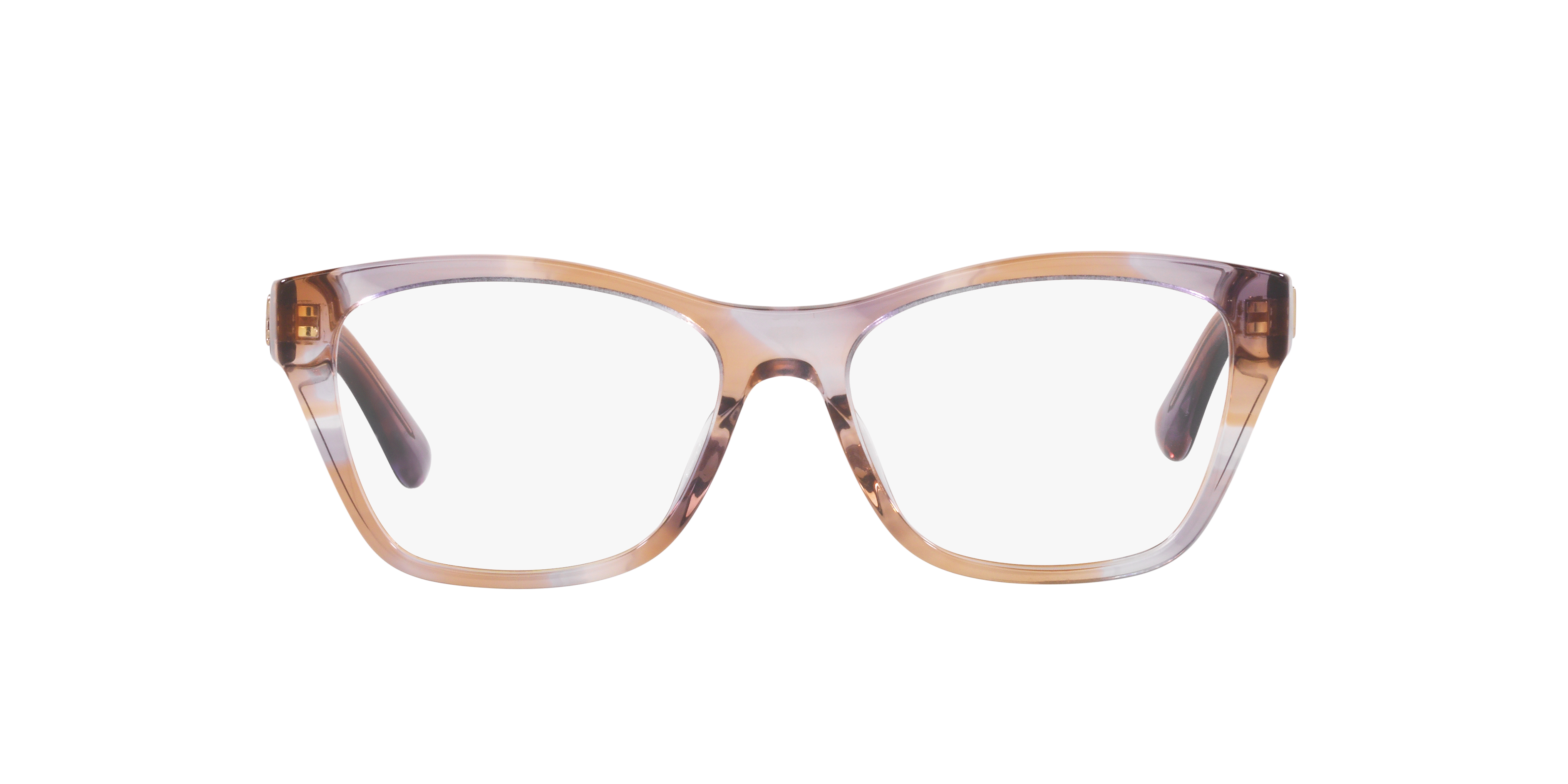 Ralph Lauren RL6230U 6031 53