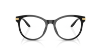 Ralph Lauren RL6231U 5001