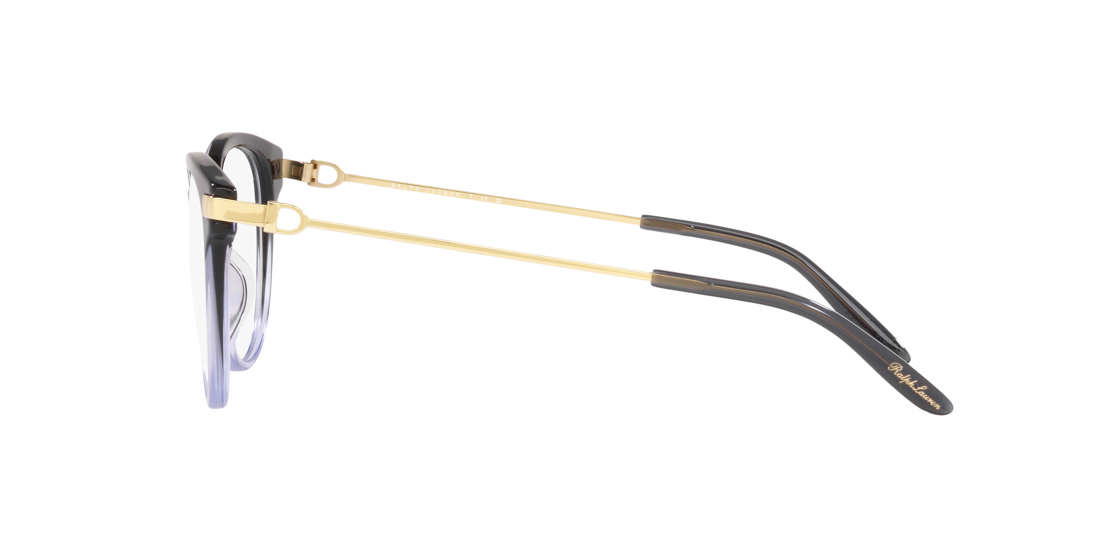 Ralph Lauren RL6231U 6021 53