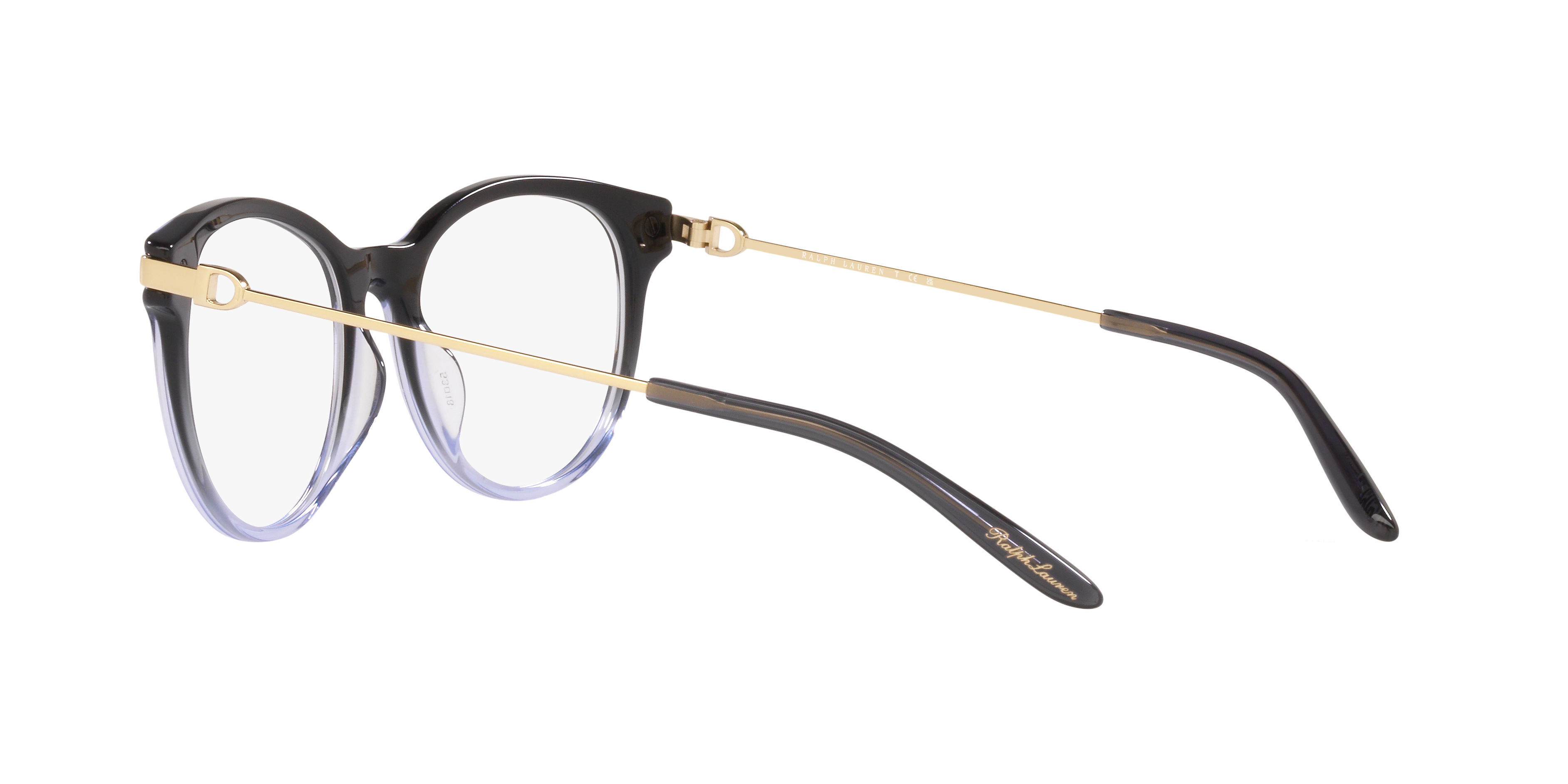 Ralph Lauren RL6231U 6021 53