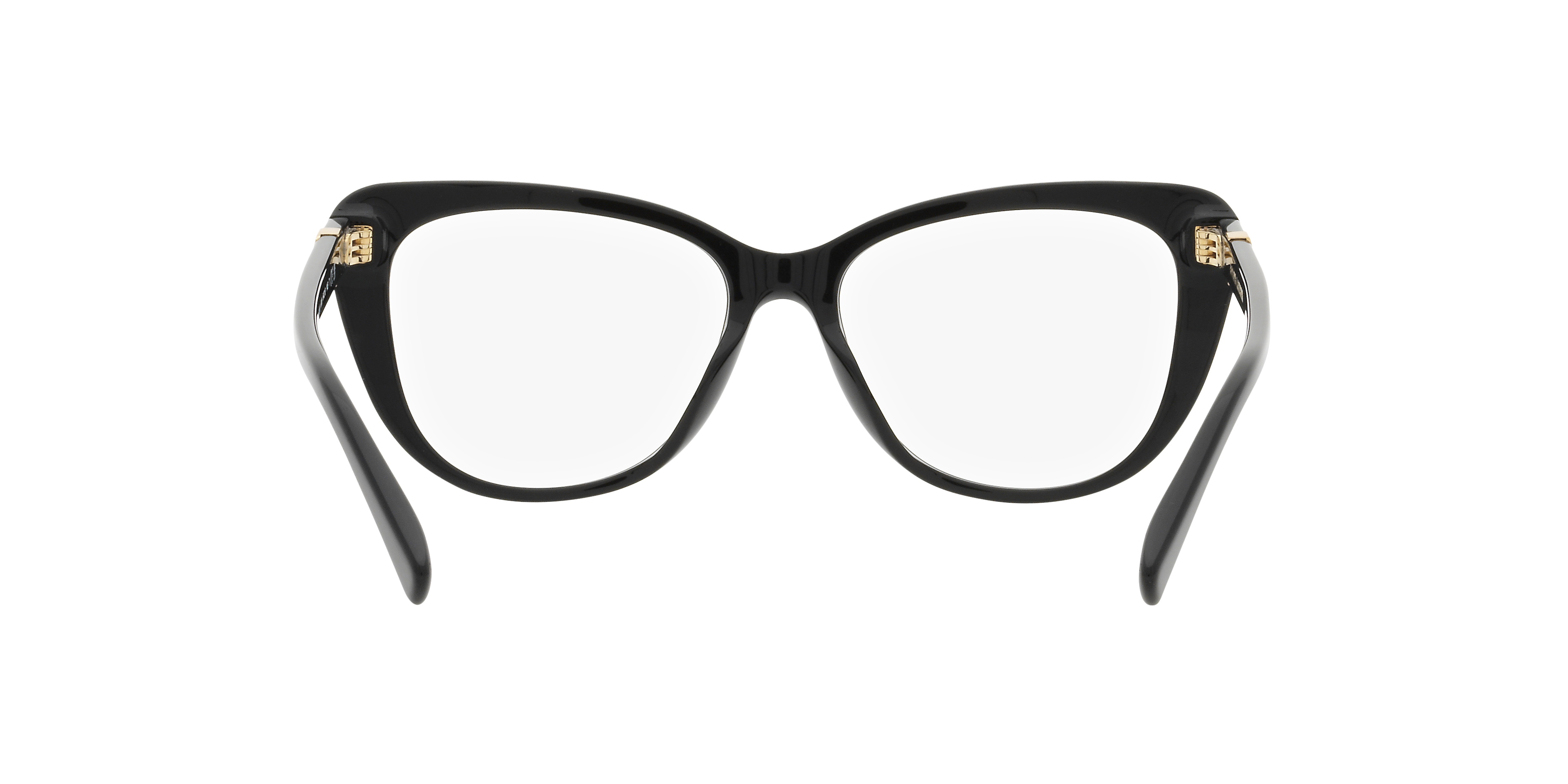 Ralph Lauren RL6232U 5001 54