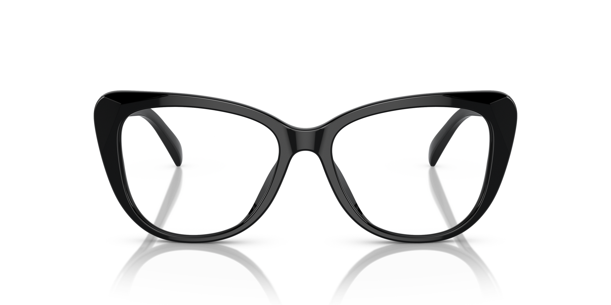 Ralph Lauren RL6232U 5001 54