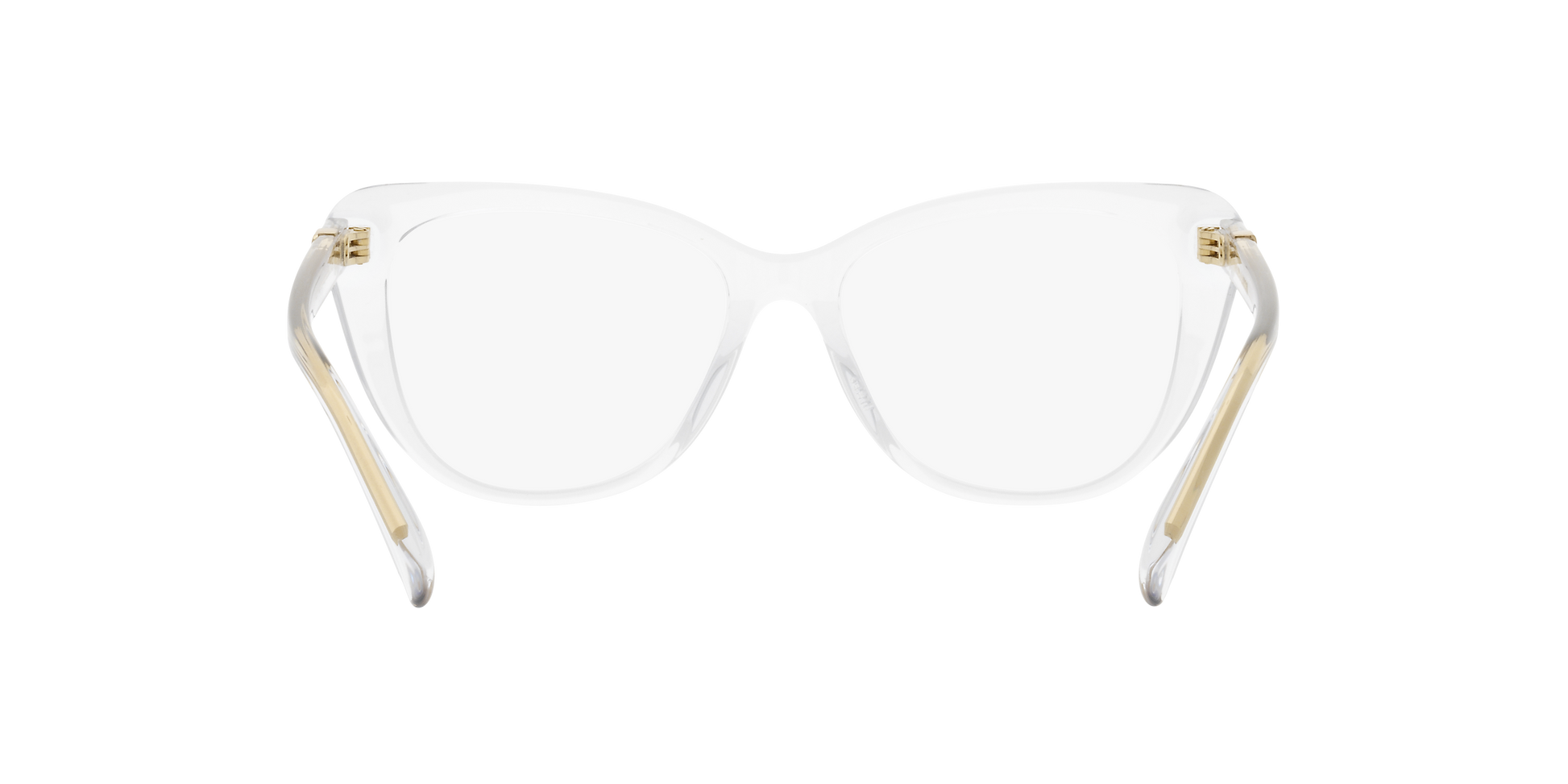 Ralph Lauren RL6232U 5002 54