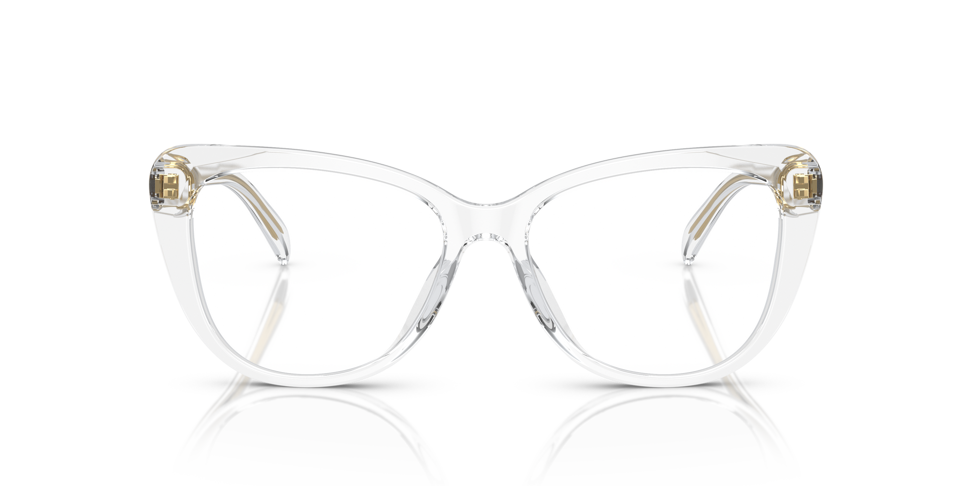 Ralph Lauren RL6232U 5002 54