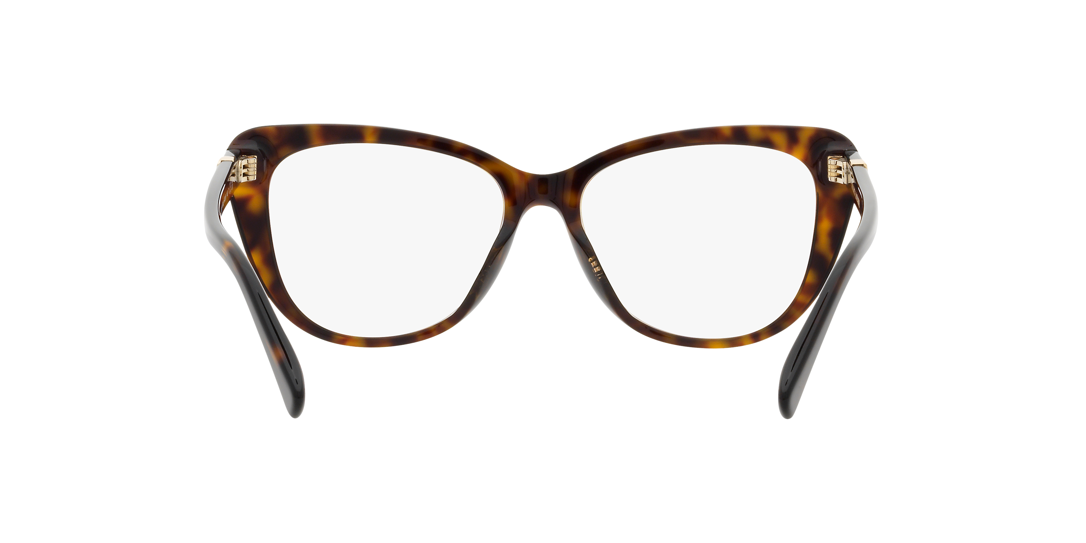 Ralph Lauren RL6232U 5003 54