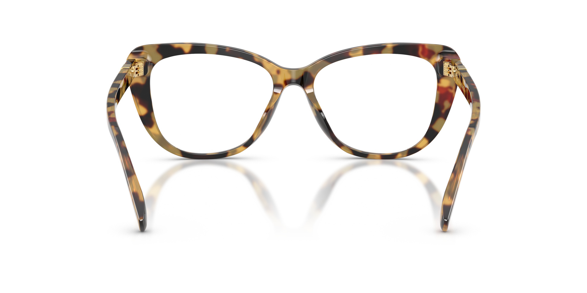 Ralph Lauren RL6232U 5004 54