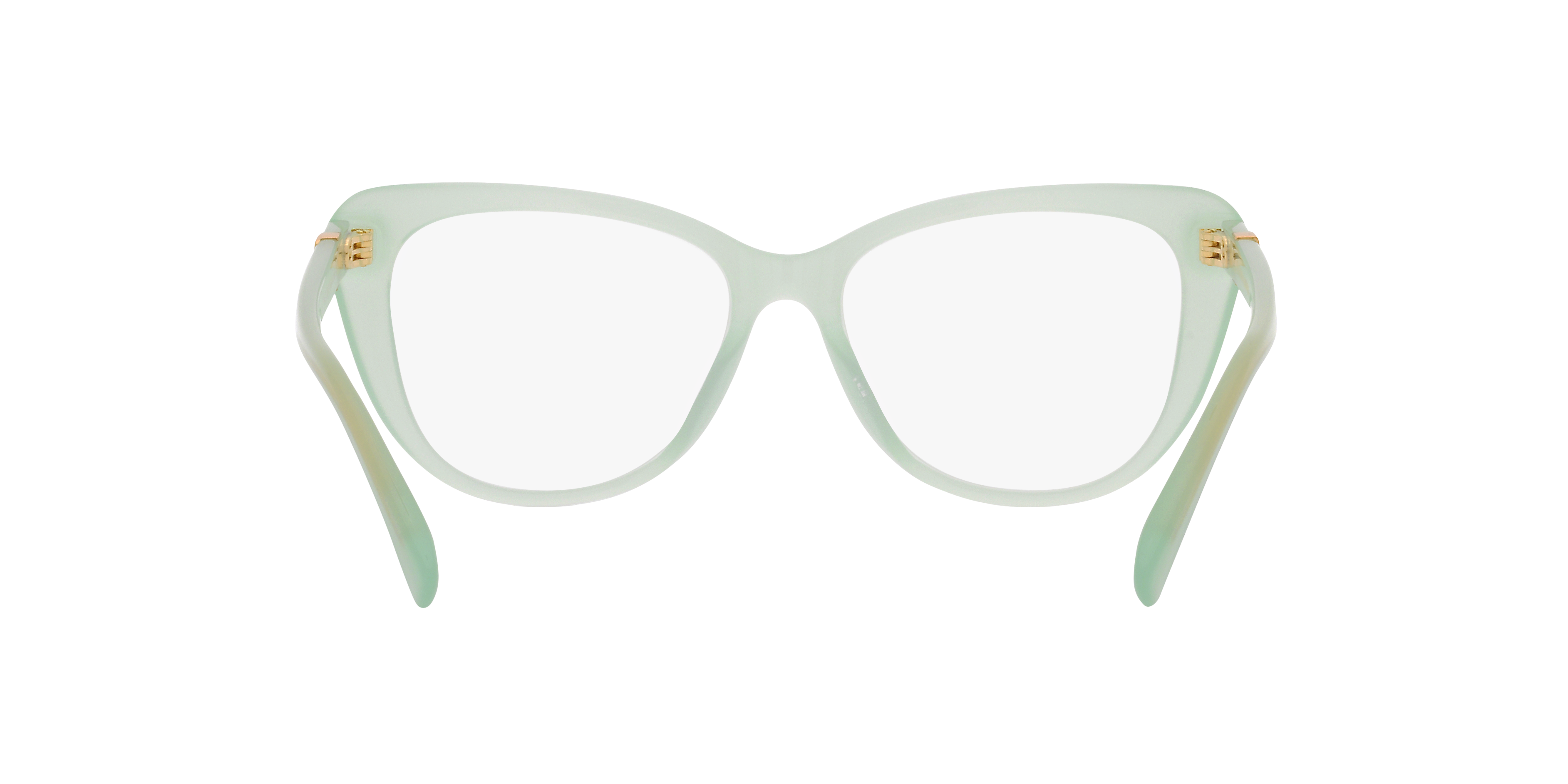 Ralph Lauren RL6232U 6082 54