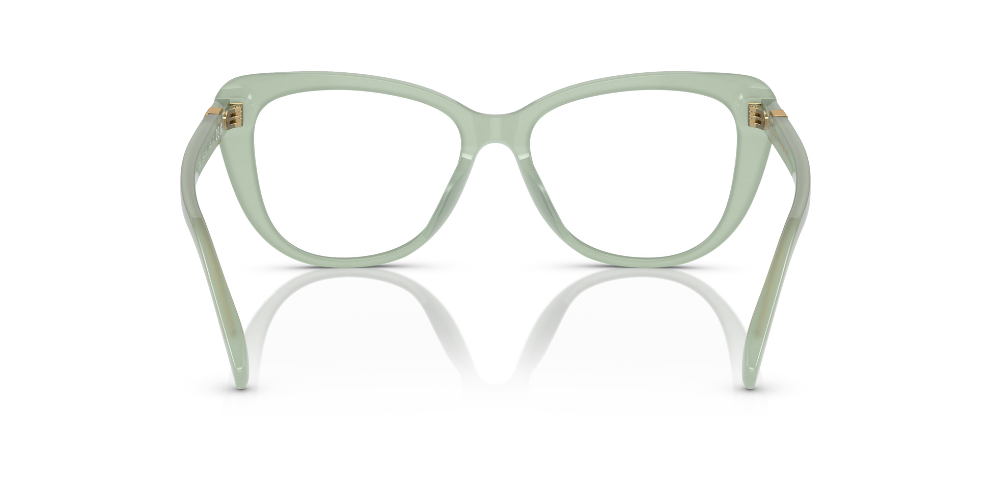 Ralph Lauren RL6232U 6082 54