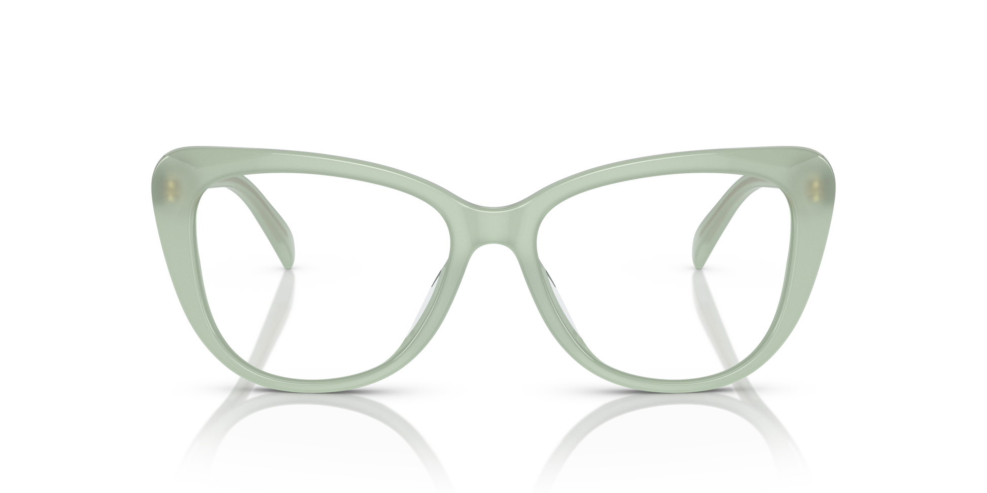 Ralph Lauren RL6232U 6082 54