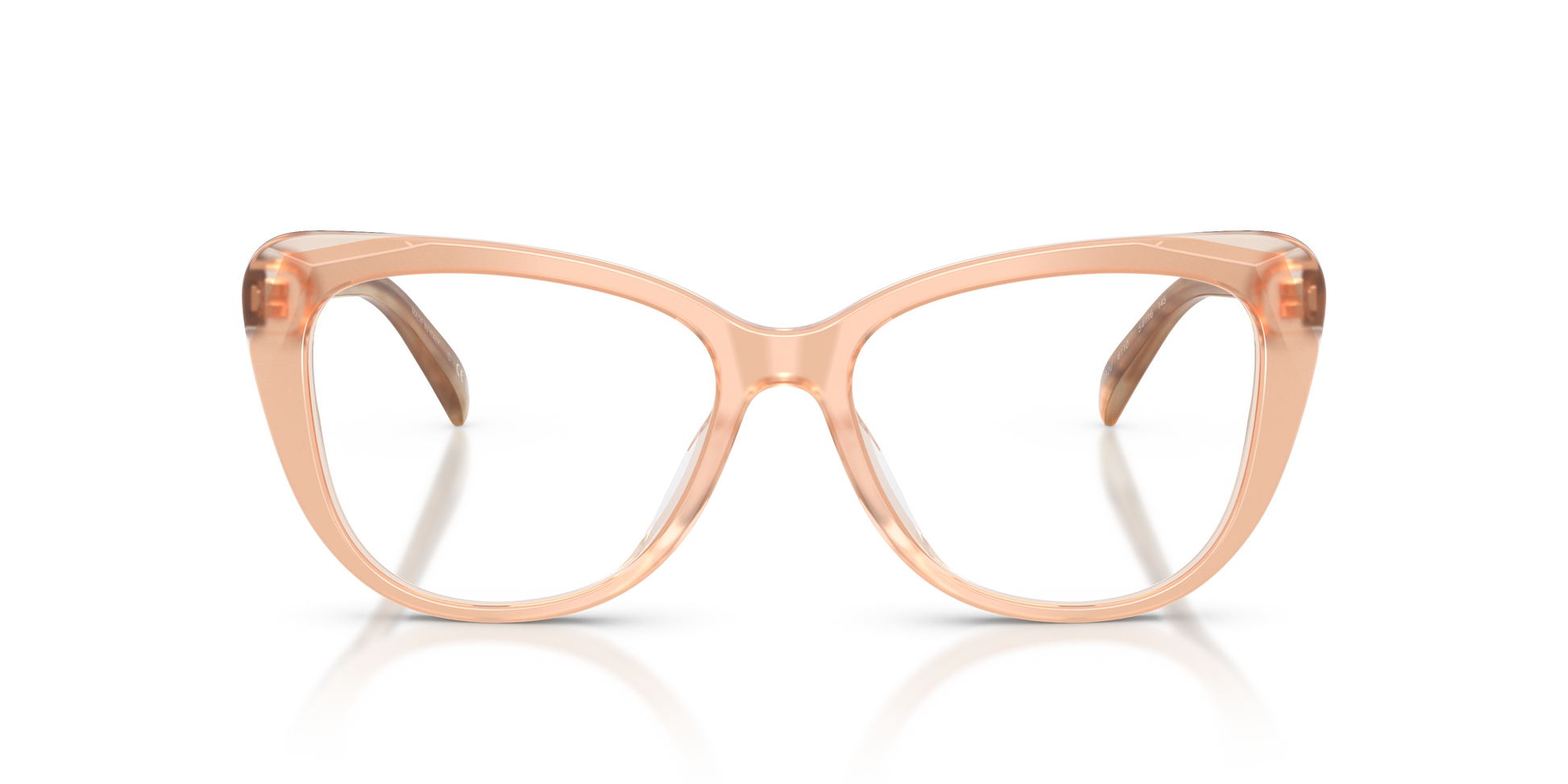 Ralph Lauren RL6232U 6110 54