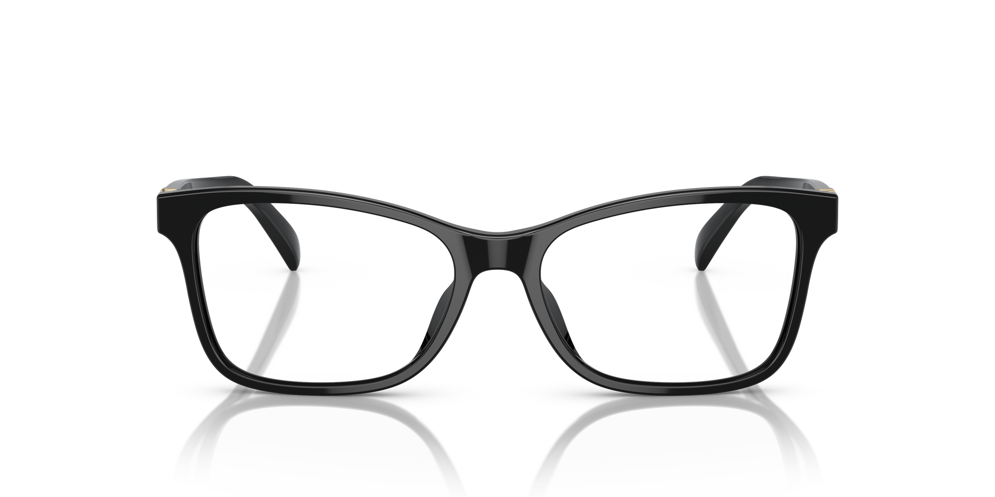 Ralph Lauren RL6233U 5001 52