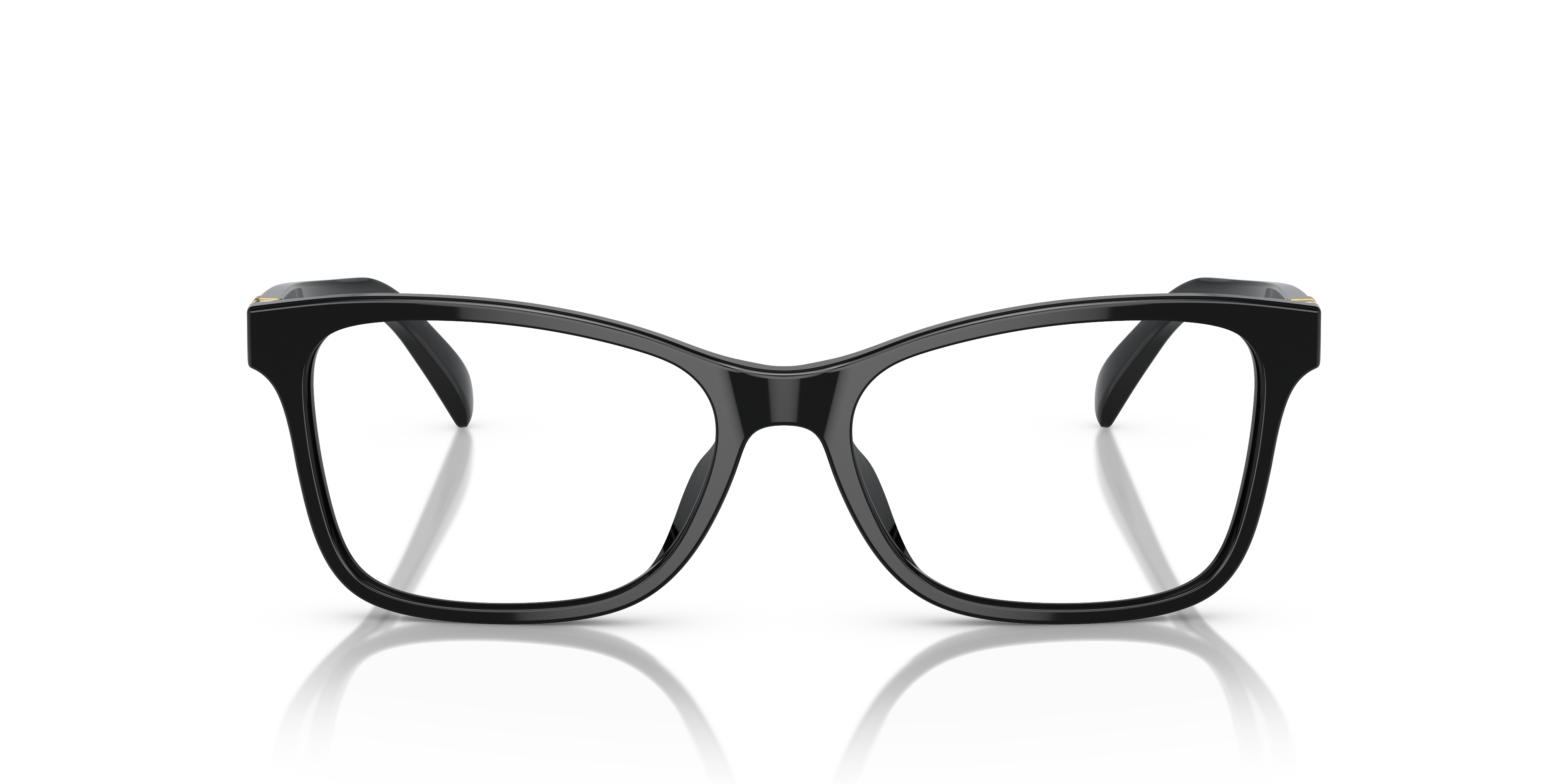 Ralph Lauren RL6233U 5001 52