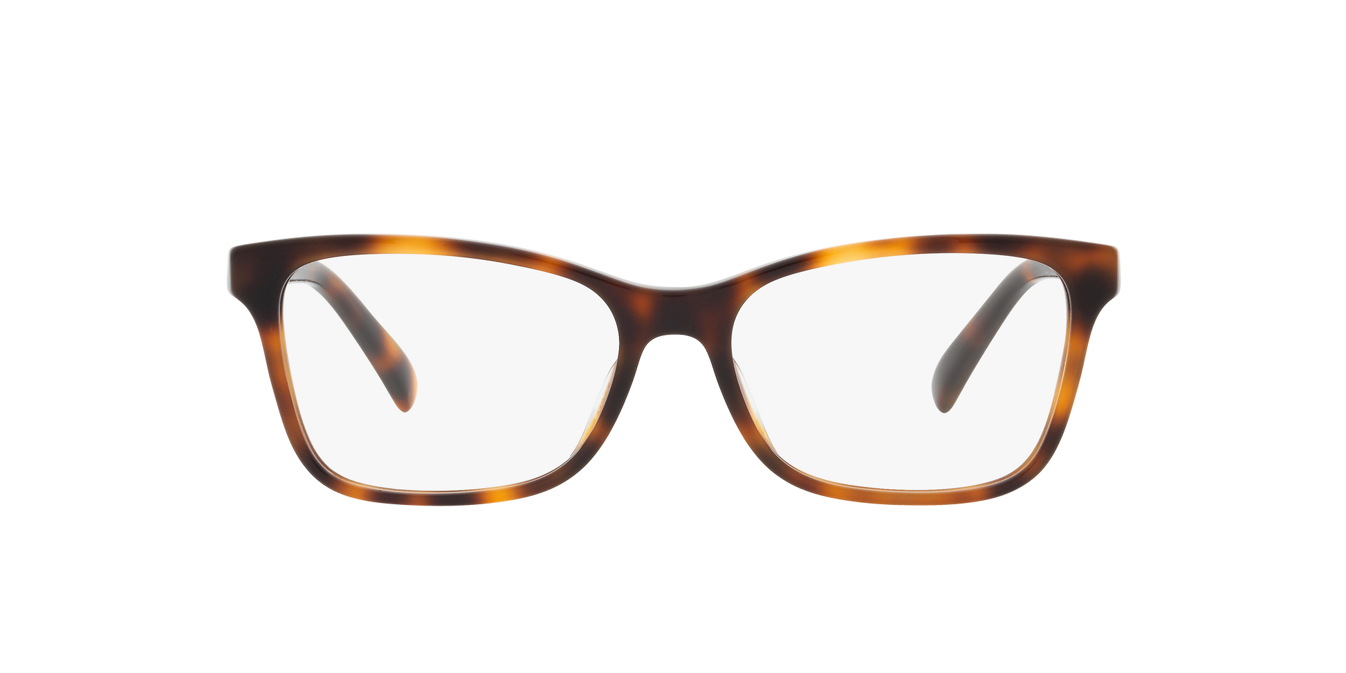 Ralph Lauren RL6233U 5303 52