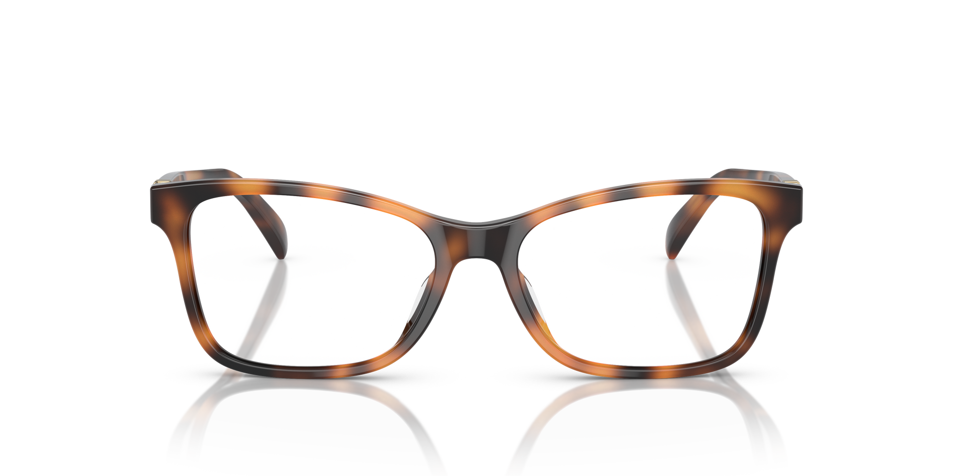 Ralph Lauren RL6233U 5303 52