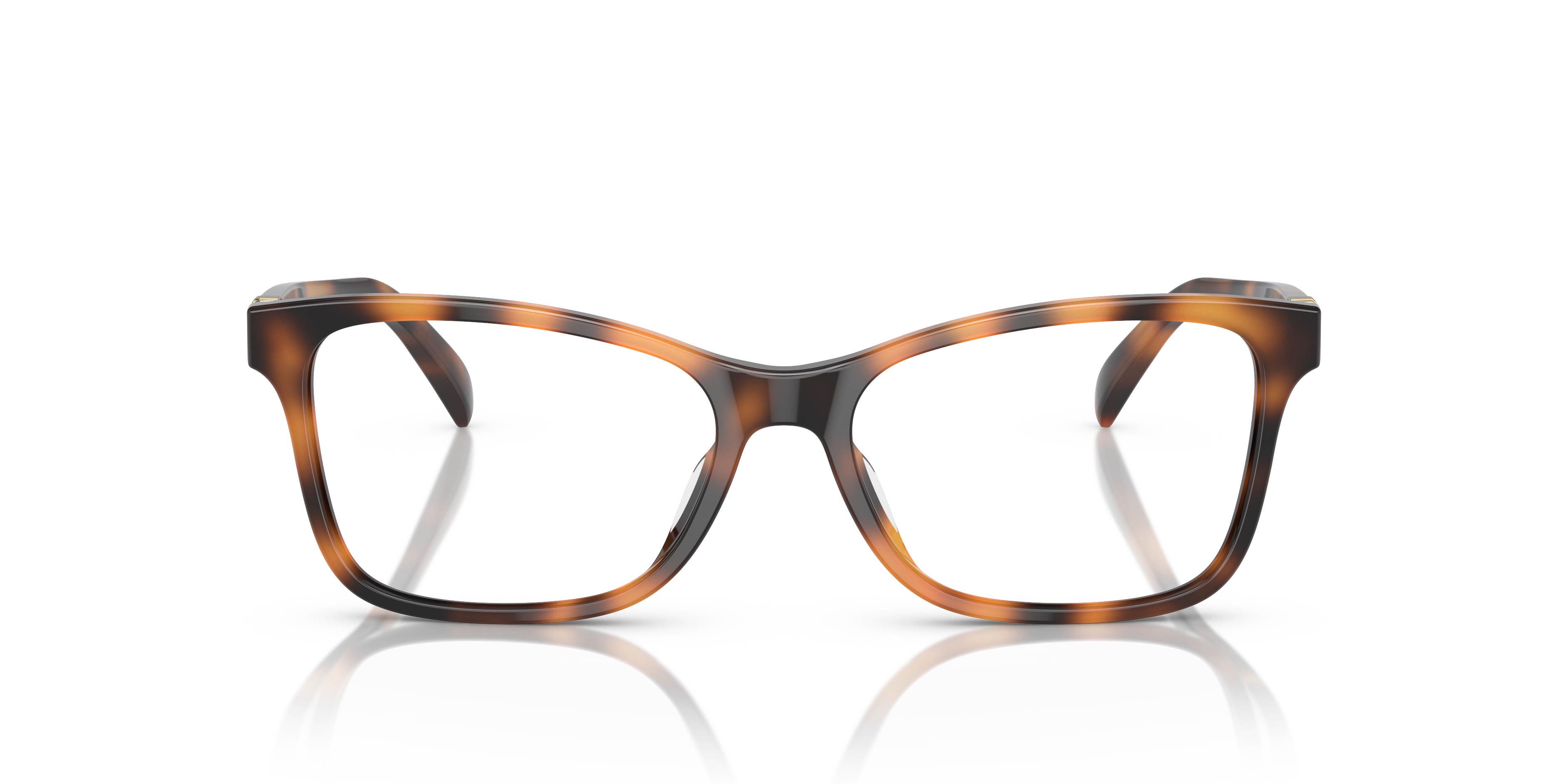 Ralph Lauren RL6233U 5303 52