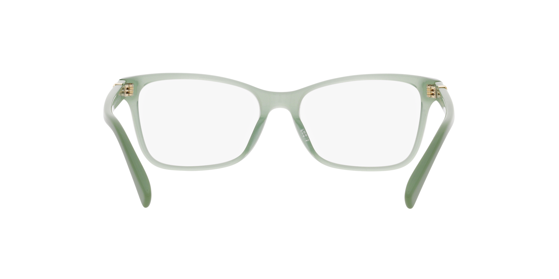 Ralph Lauren RL6233U 6049 54