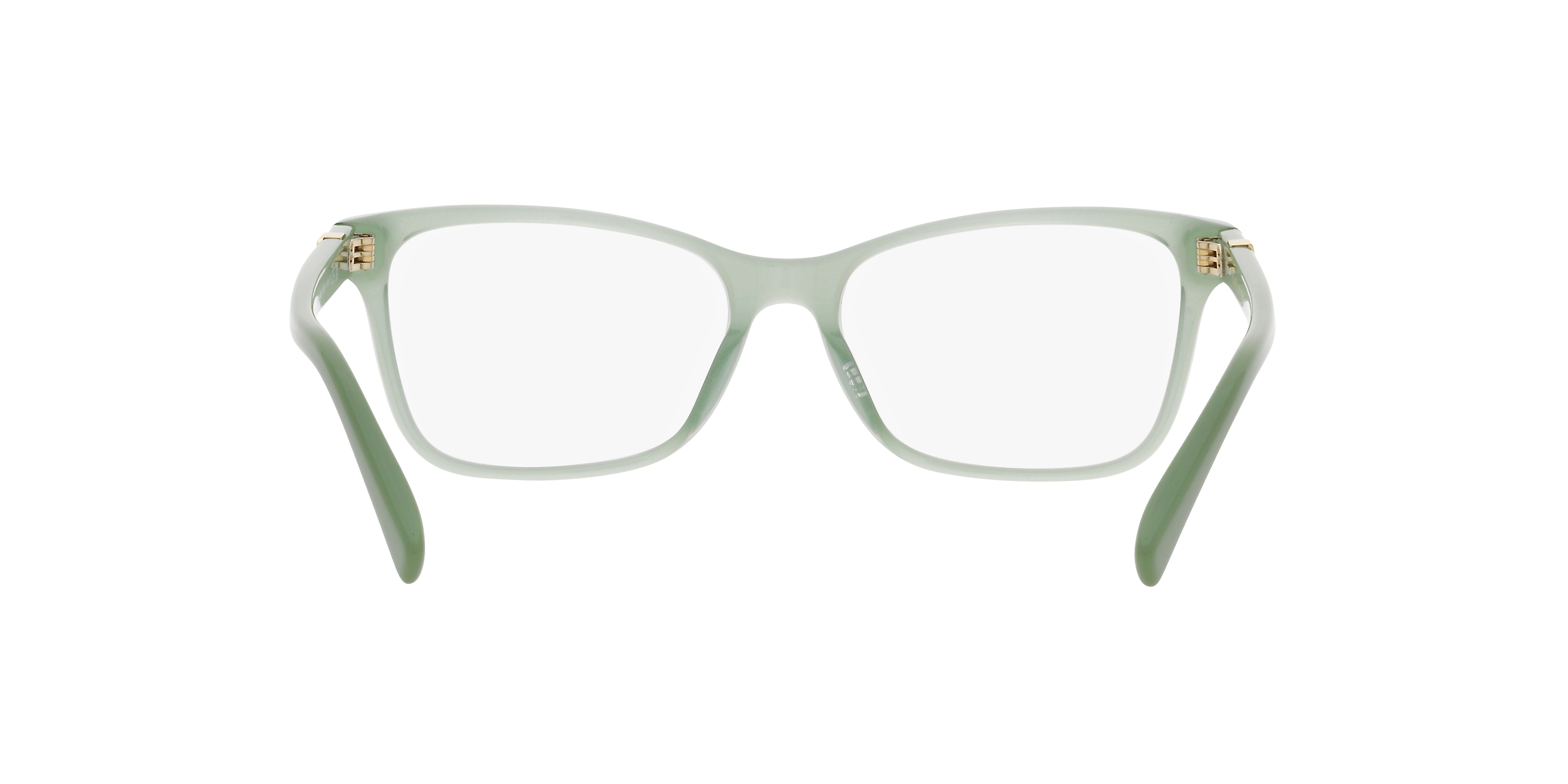 Ralph Lauren RL6233U 6049 54