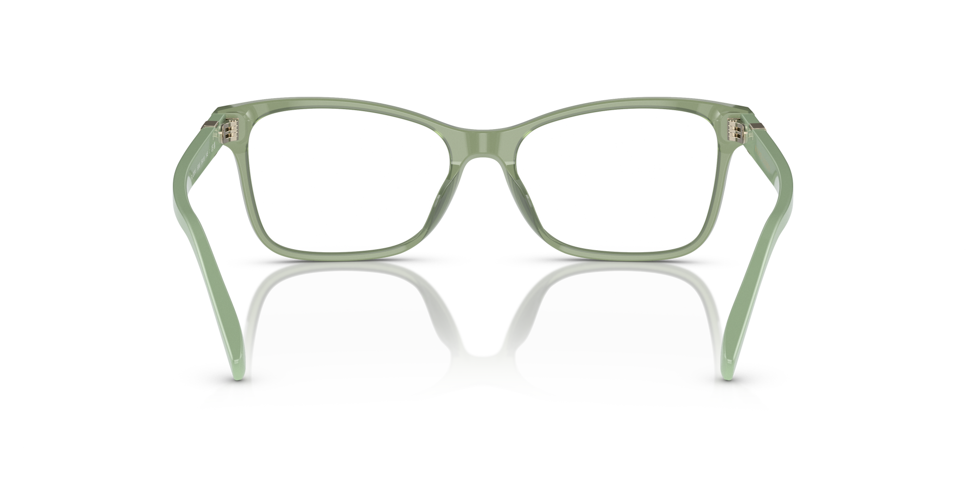 Ralph Lauren RL6233U 6049 54