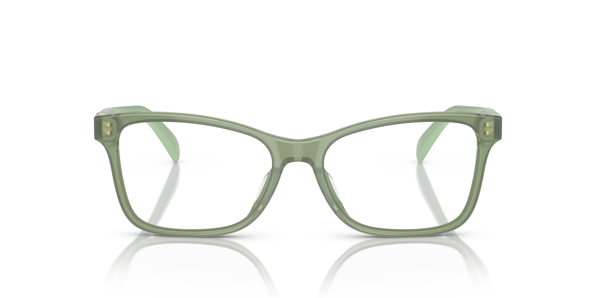 Ralph Lauren RL6233U 6049 54