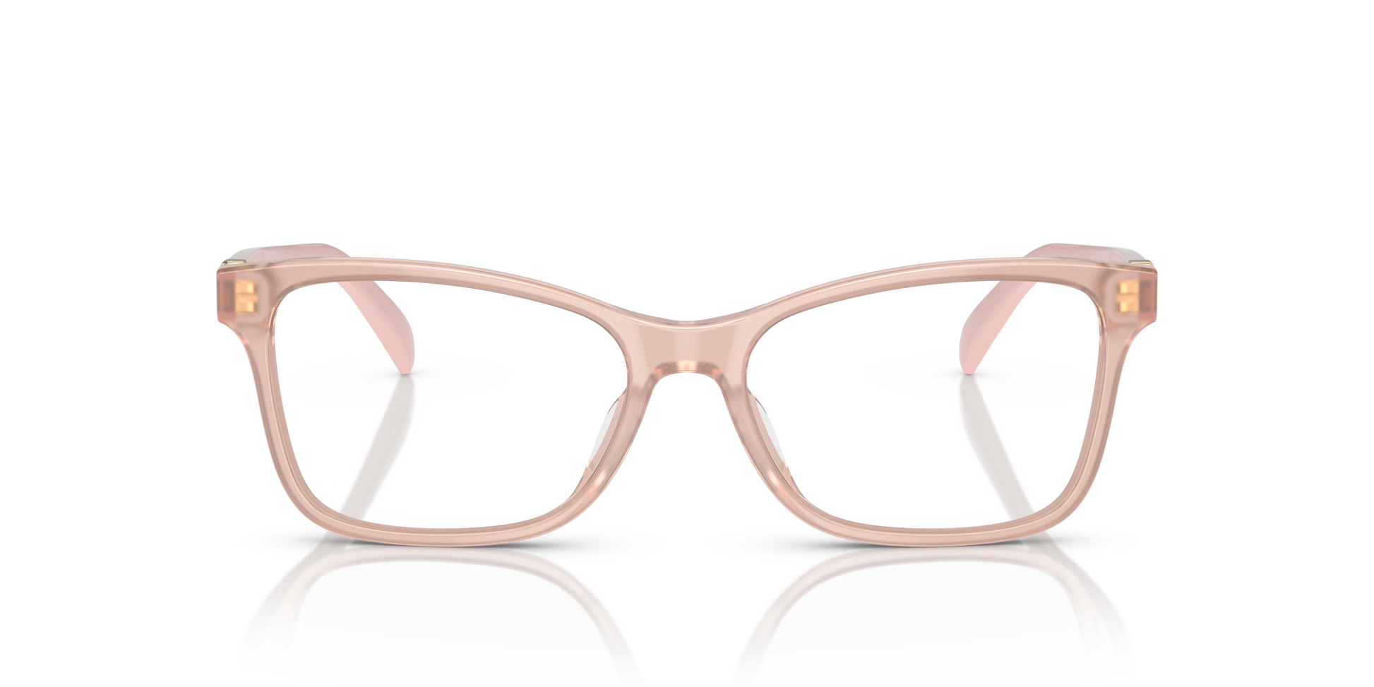 Ralph Lauren RL6233U 6053 54