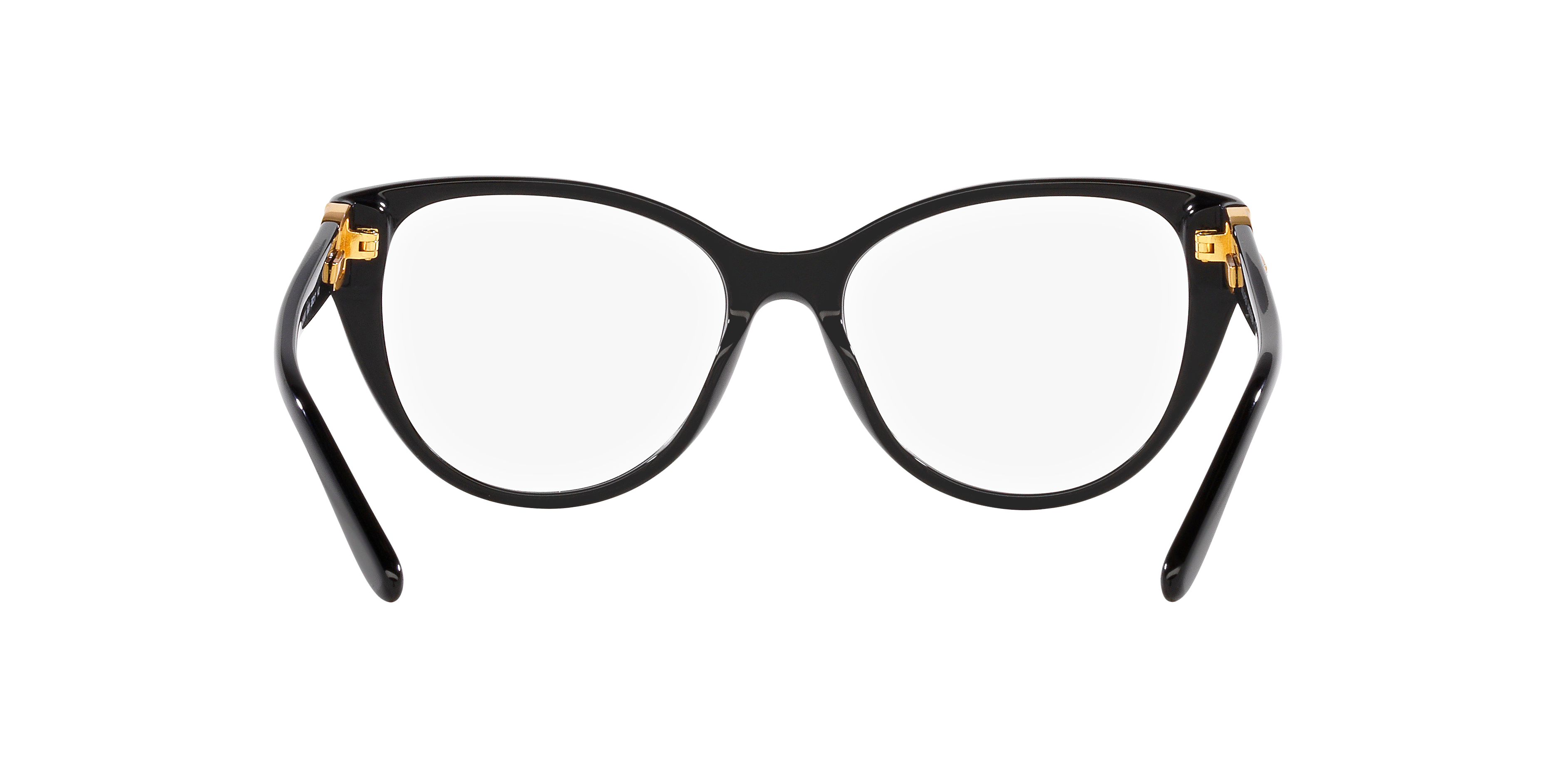 Ralph Lauren RL6234BU 5001 53