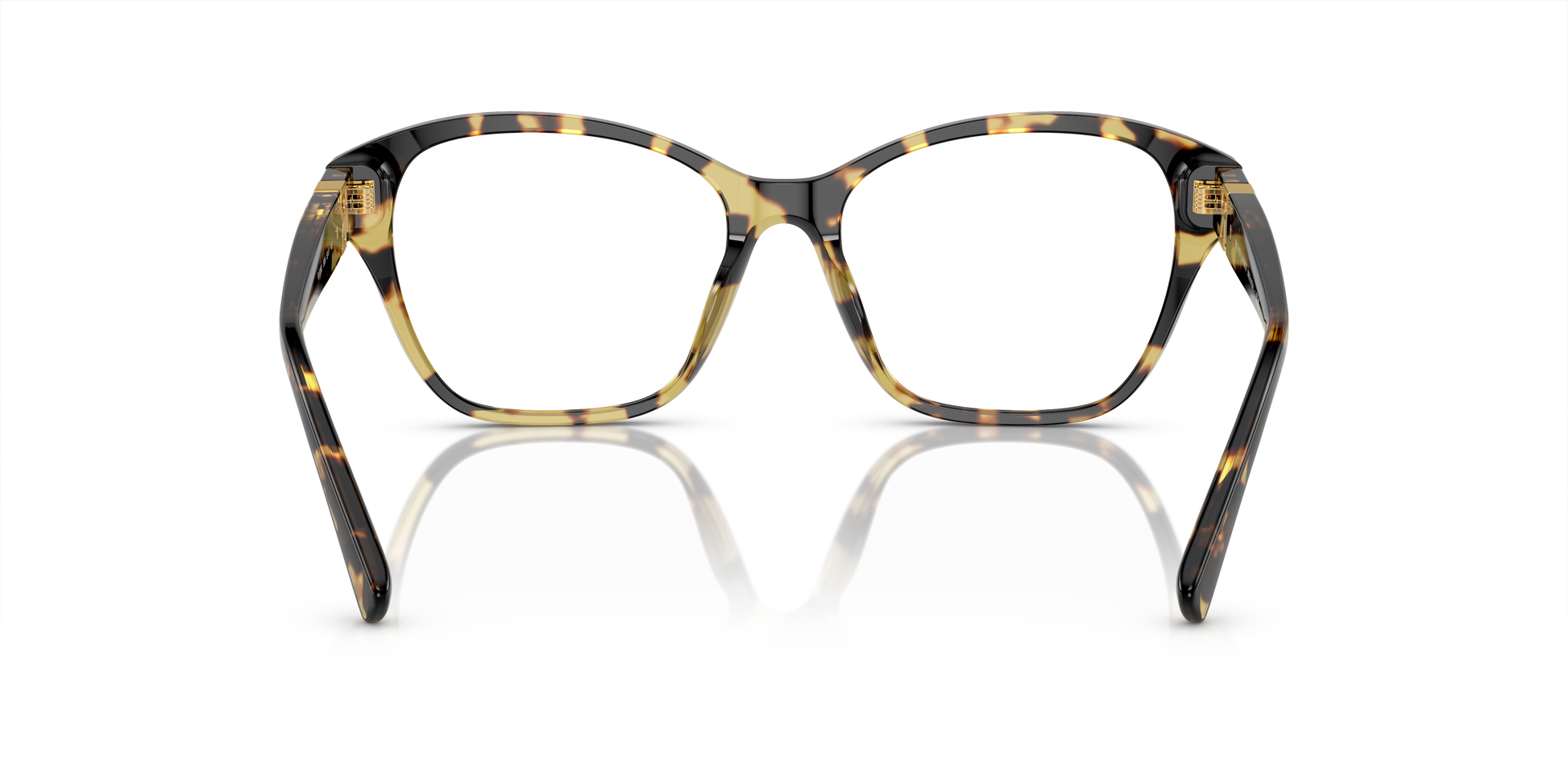 Ralph Lauren RL6236U 5004 55