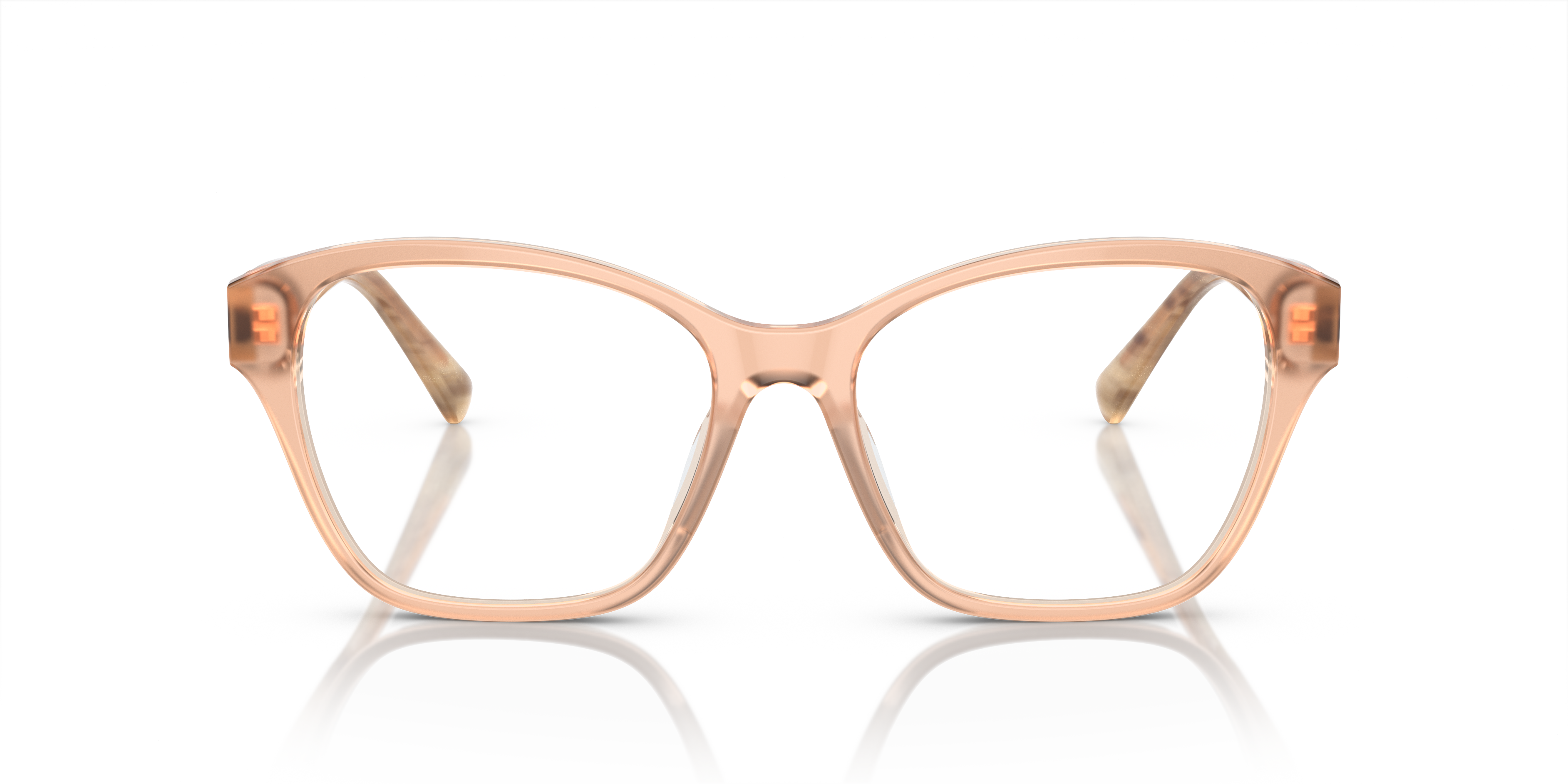 Ralph Lauren RL6236U 6110 53