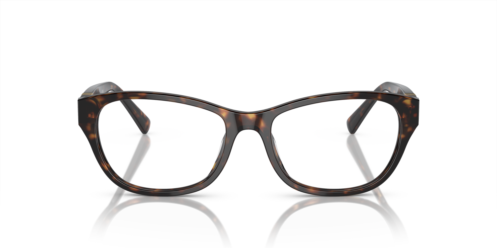 Ralph Lauren RL6237U 5003 54