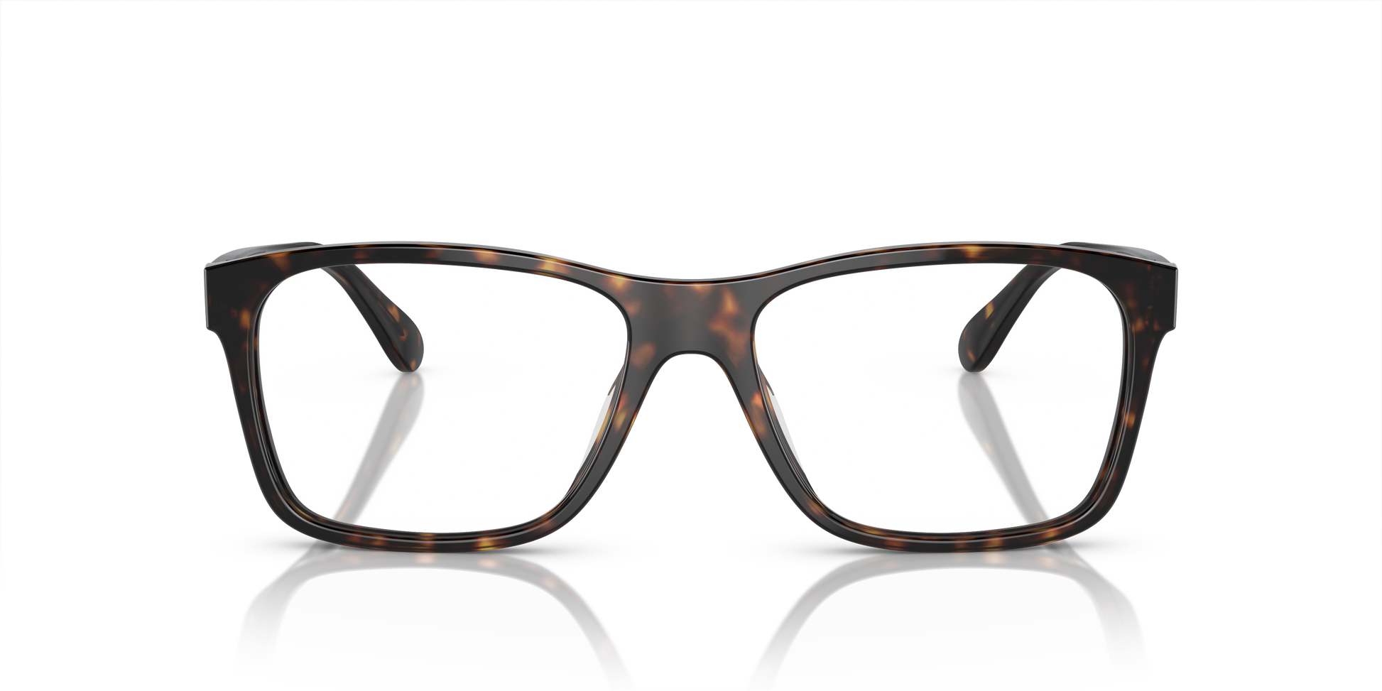 Ralph Lauren RL6240U 5003 54