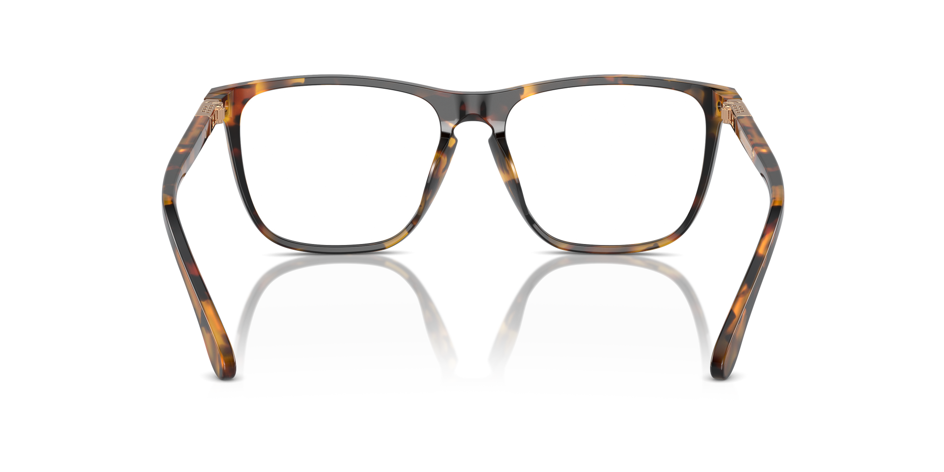 Ralph Lauren RL6242U 5134 55