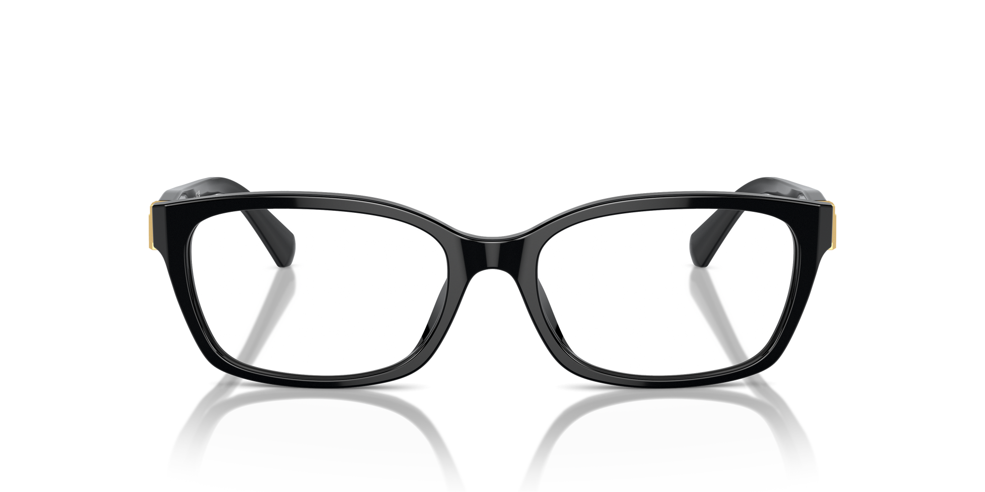 Ralph Lauren RL6244U 5001 53