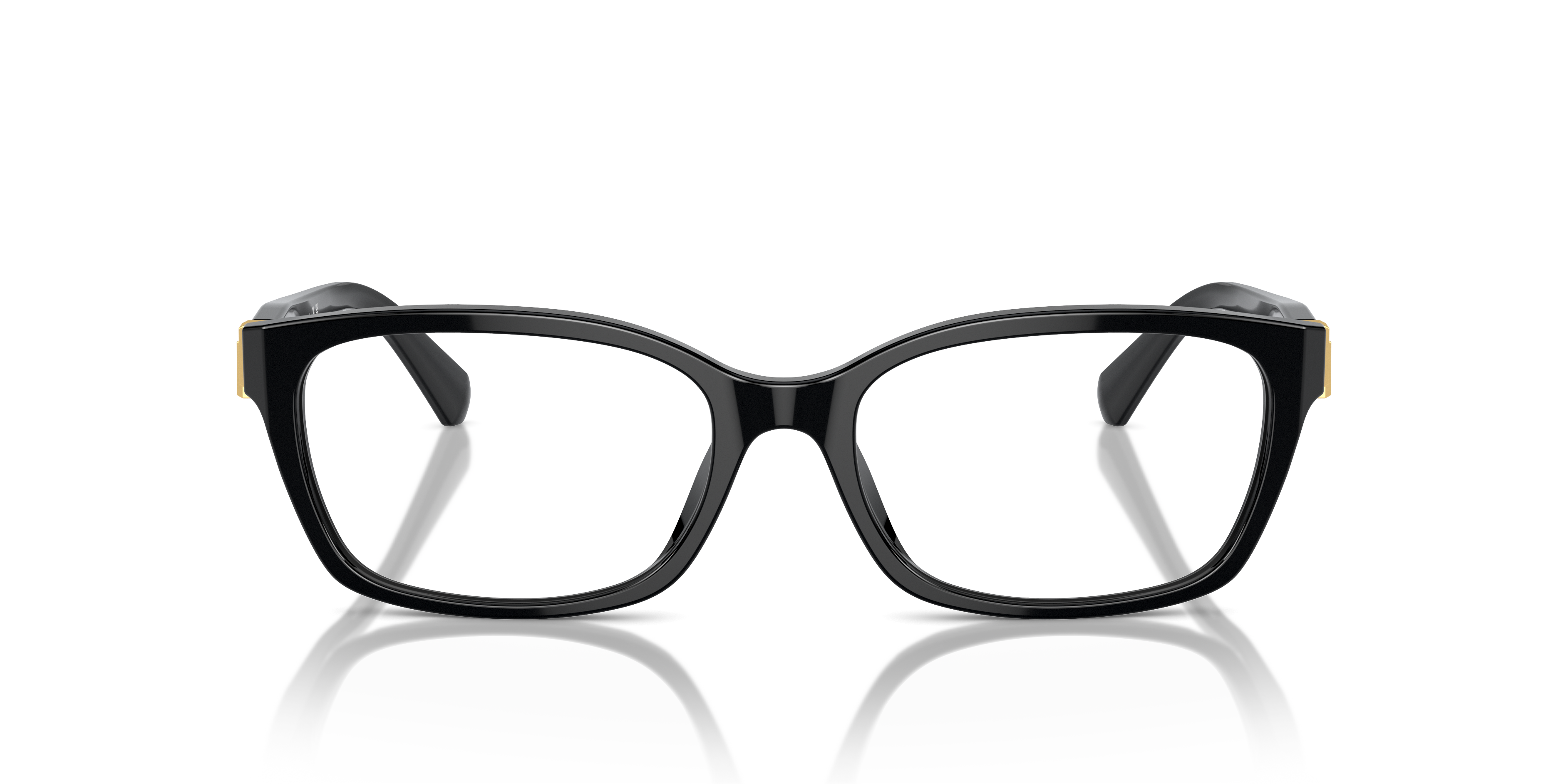 Ralph Lauren RL6244U 5001 53