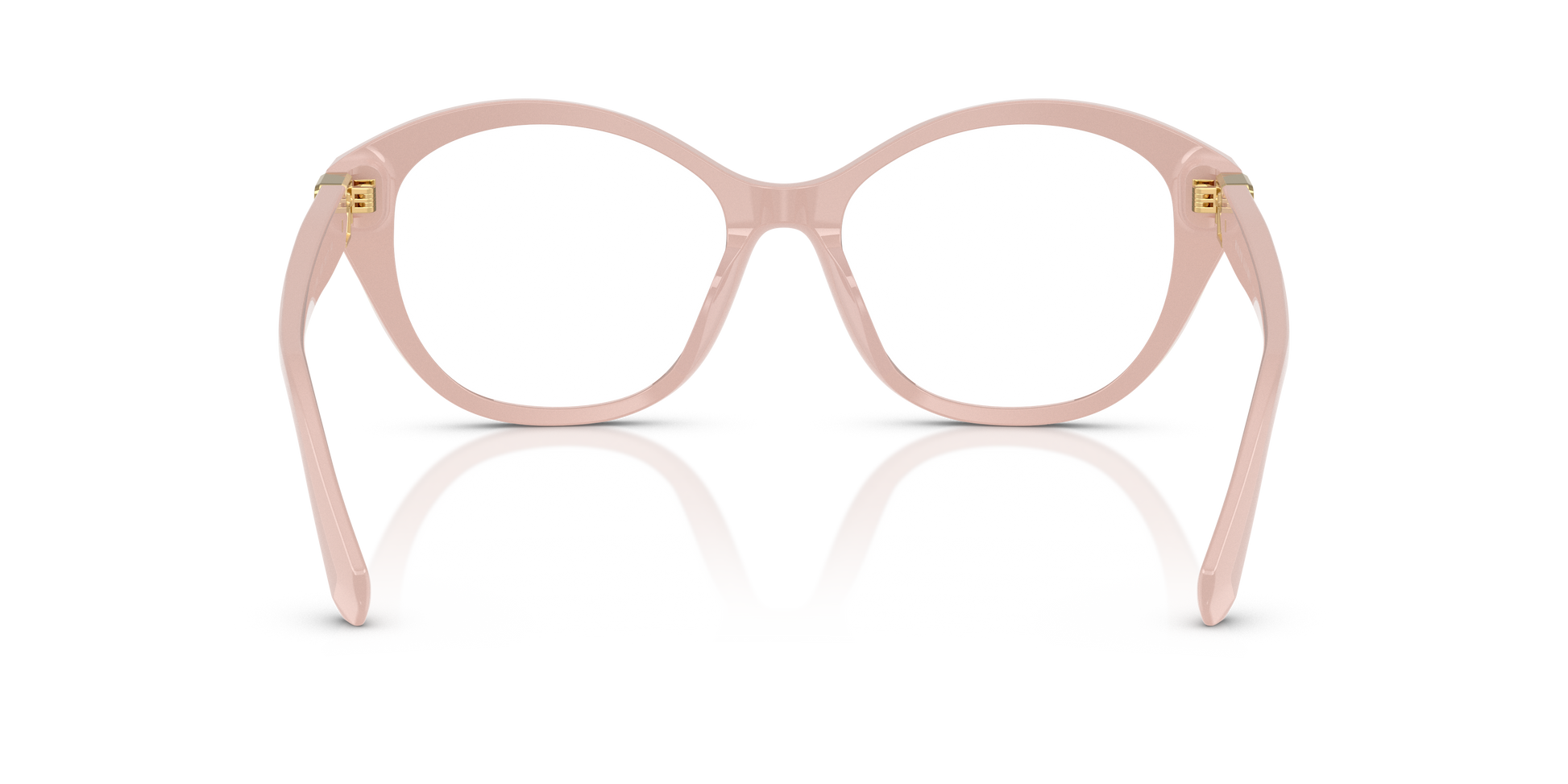 Ralph Lauren RL6246U 6053