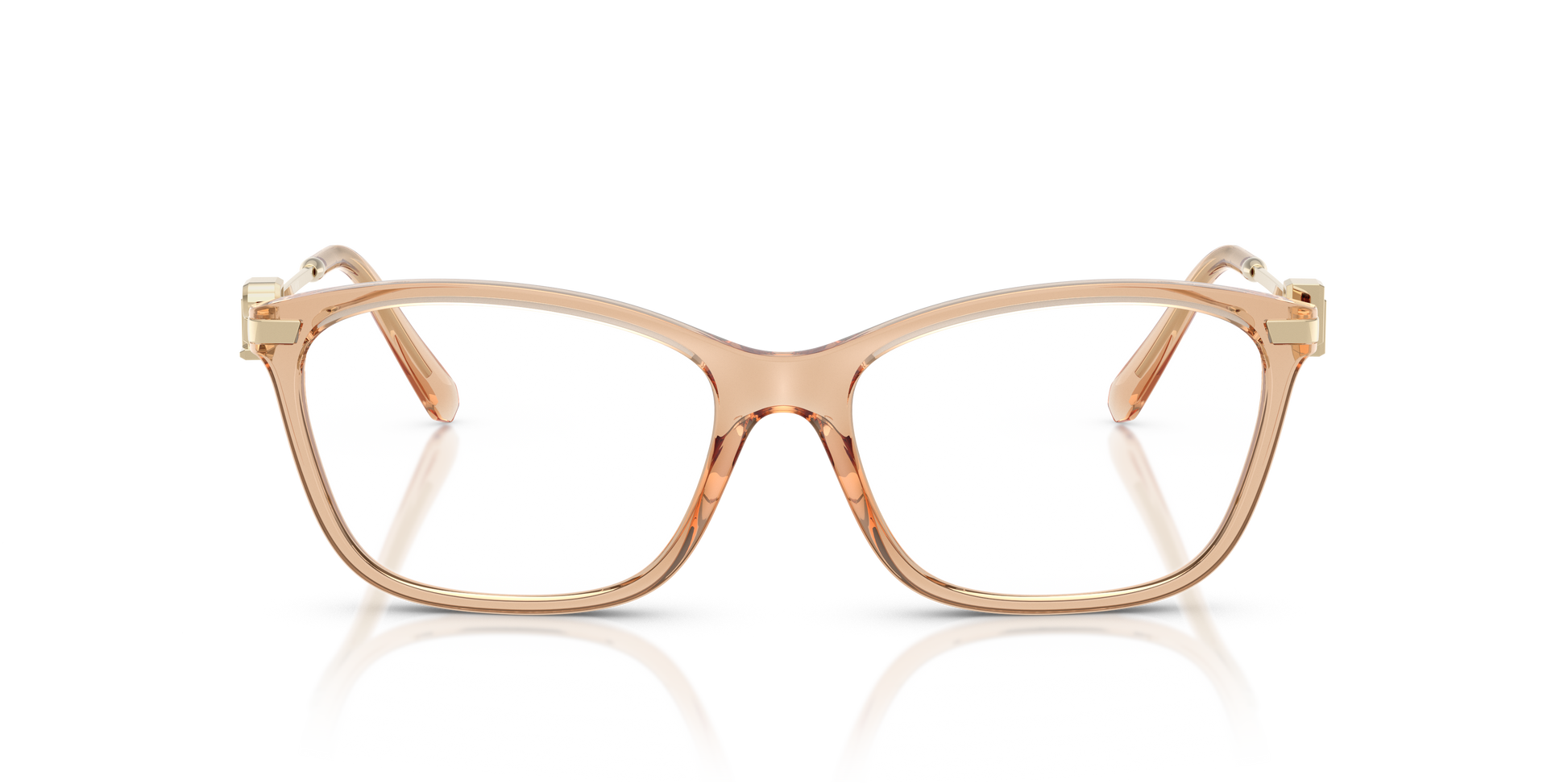 Ralph Lauren RL6247U 6205 53