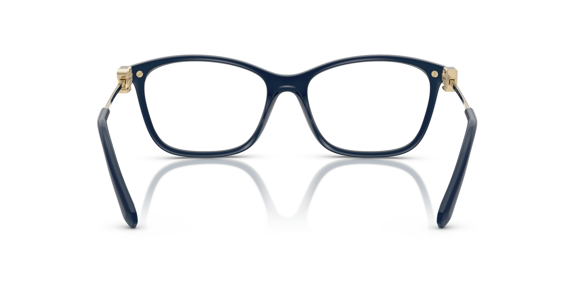 Ralph Lauren RL6247U 6215 55