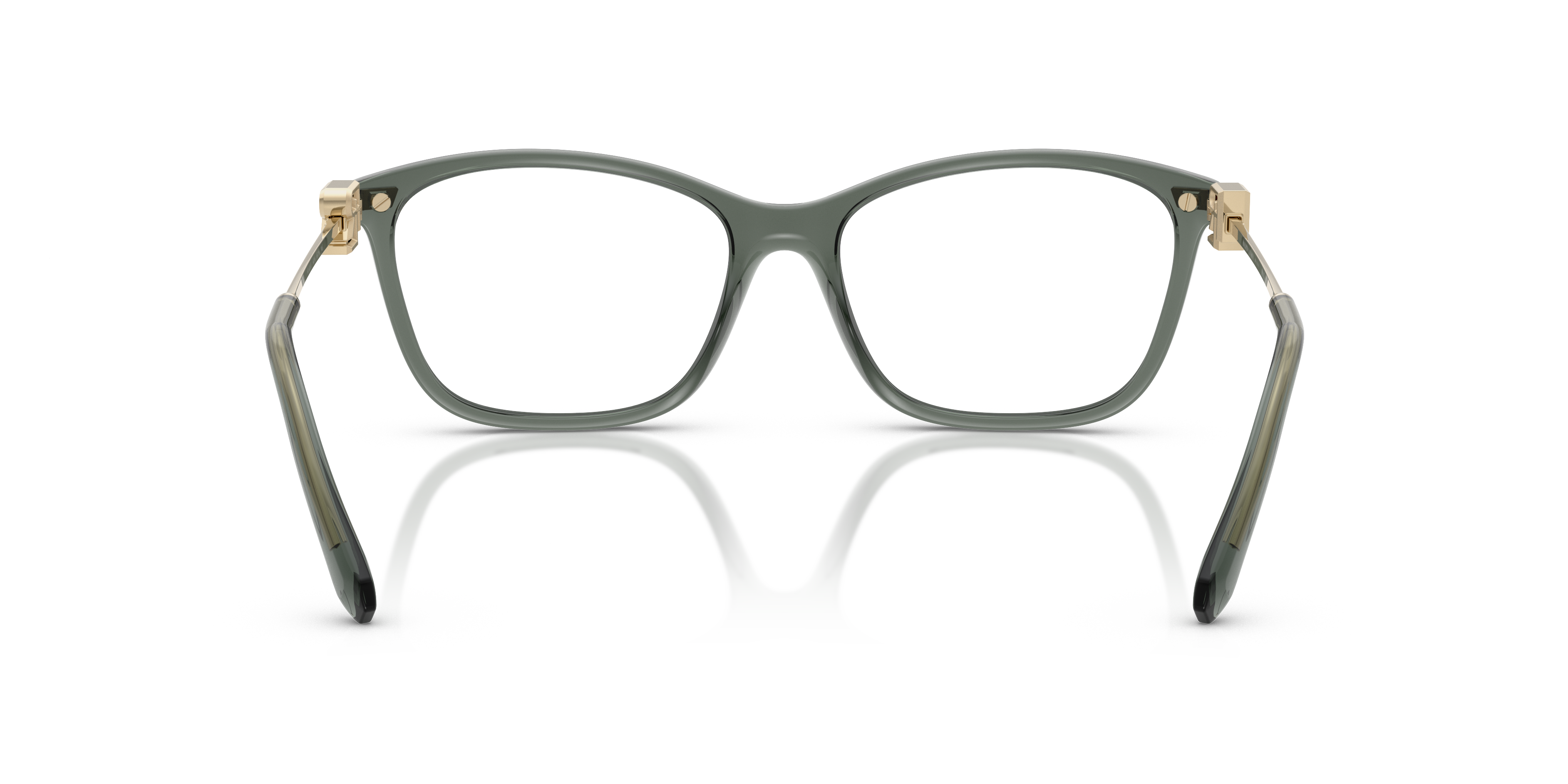 Ralph Lauren RL6247U 6216 55