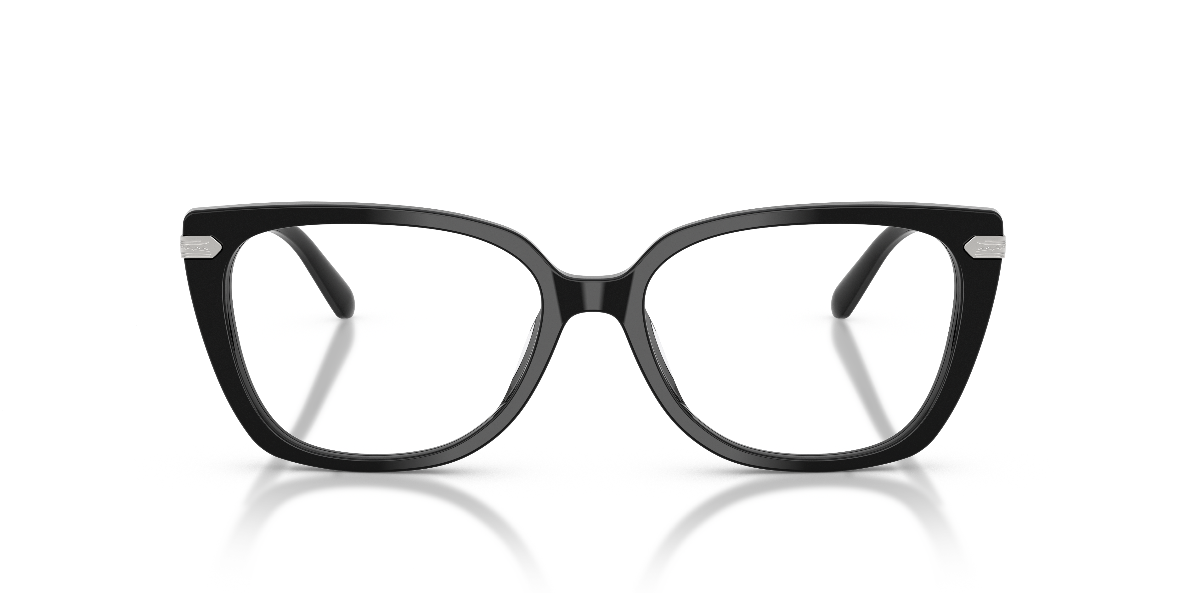 Ralph Lauren RL6250U 5001 53