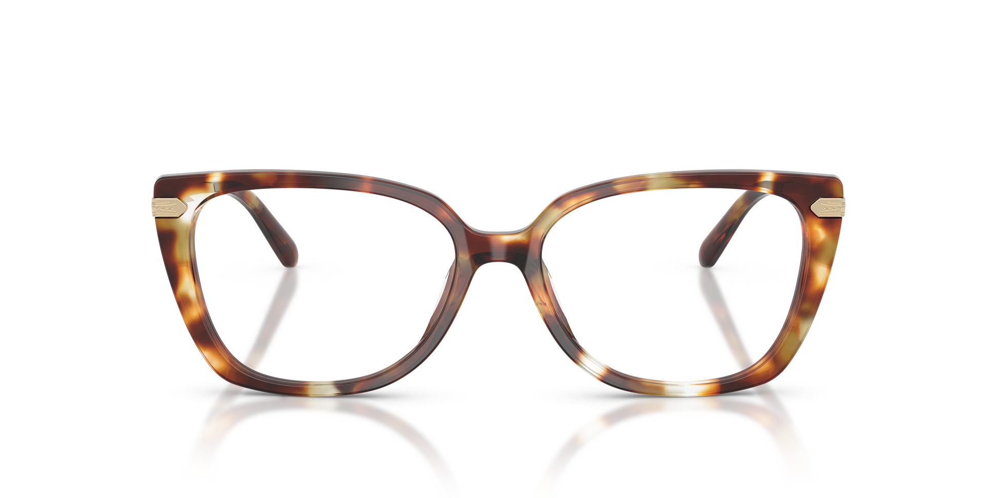 Ralph Lauren RL6250U 6056