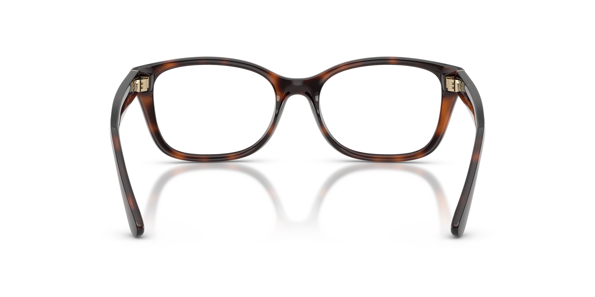 Ralph Lauren RL6252U 6241 53