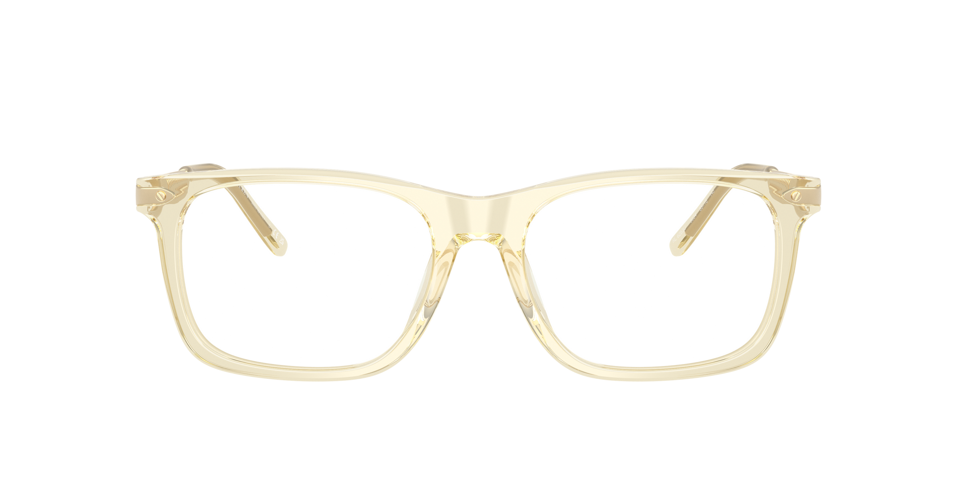 Ralph Lauren RL6253U 5034