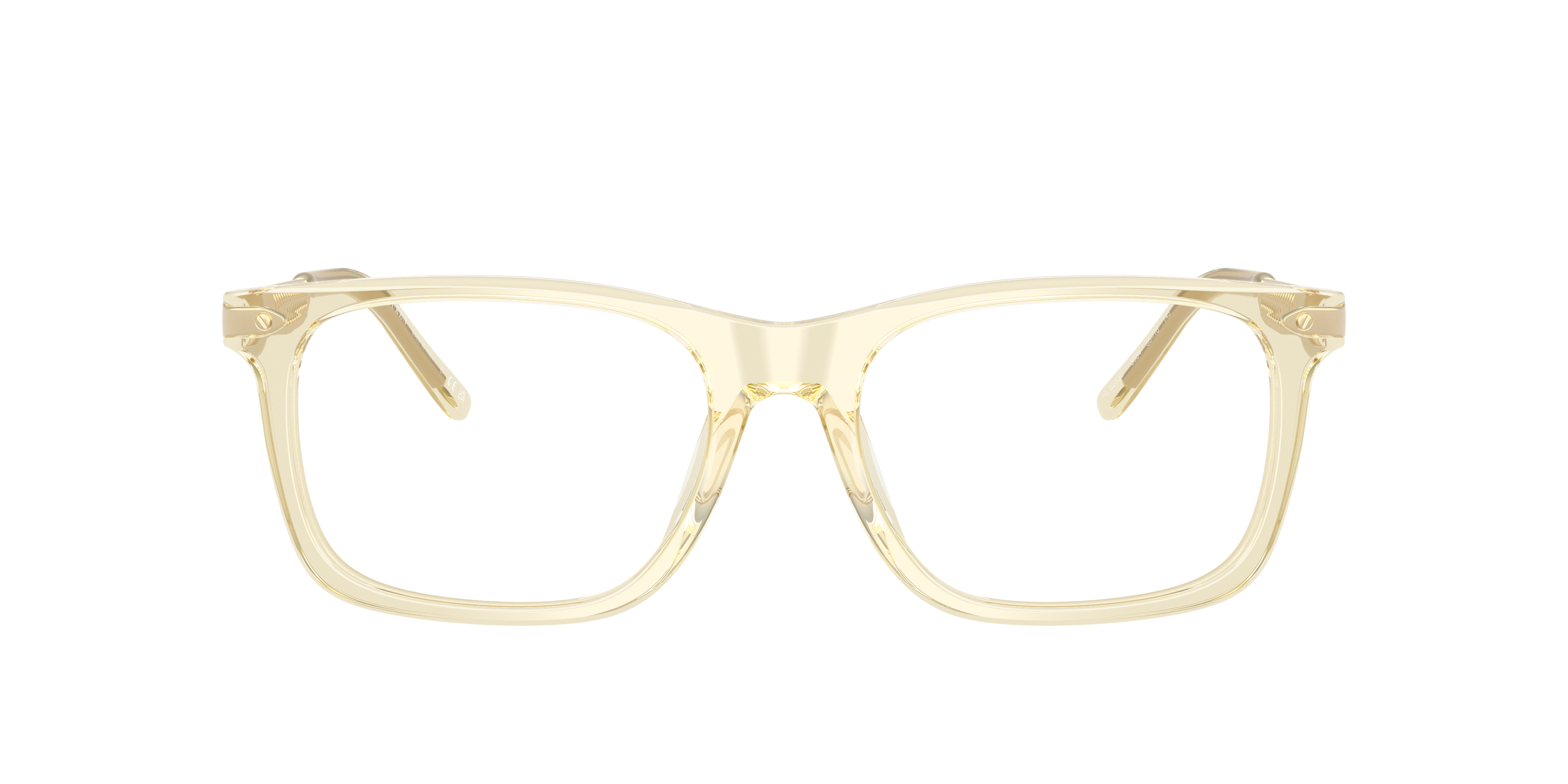 Ralph Lauren RL6253U 5034