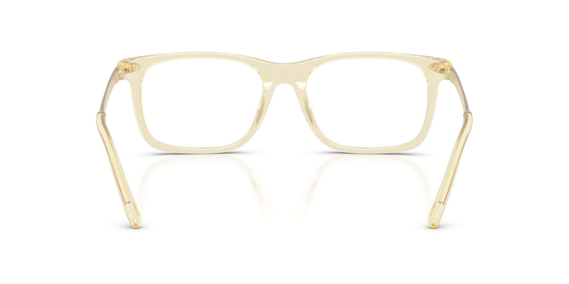 Ralph Lauren RL6253U 5034 53