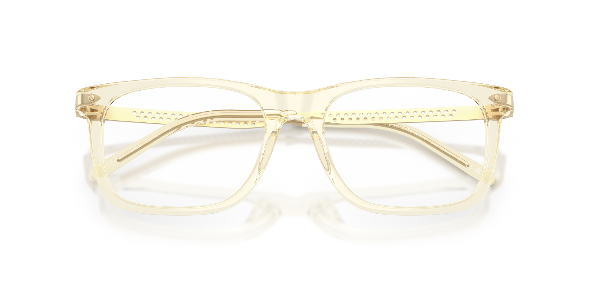 Ralph Lauren RL6253U 5034