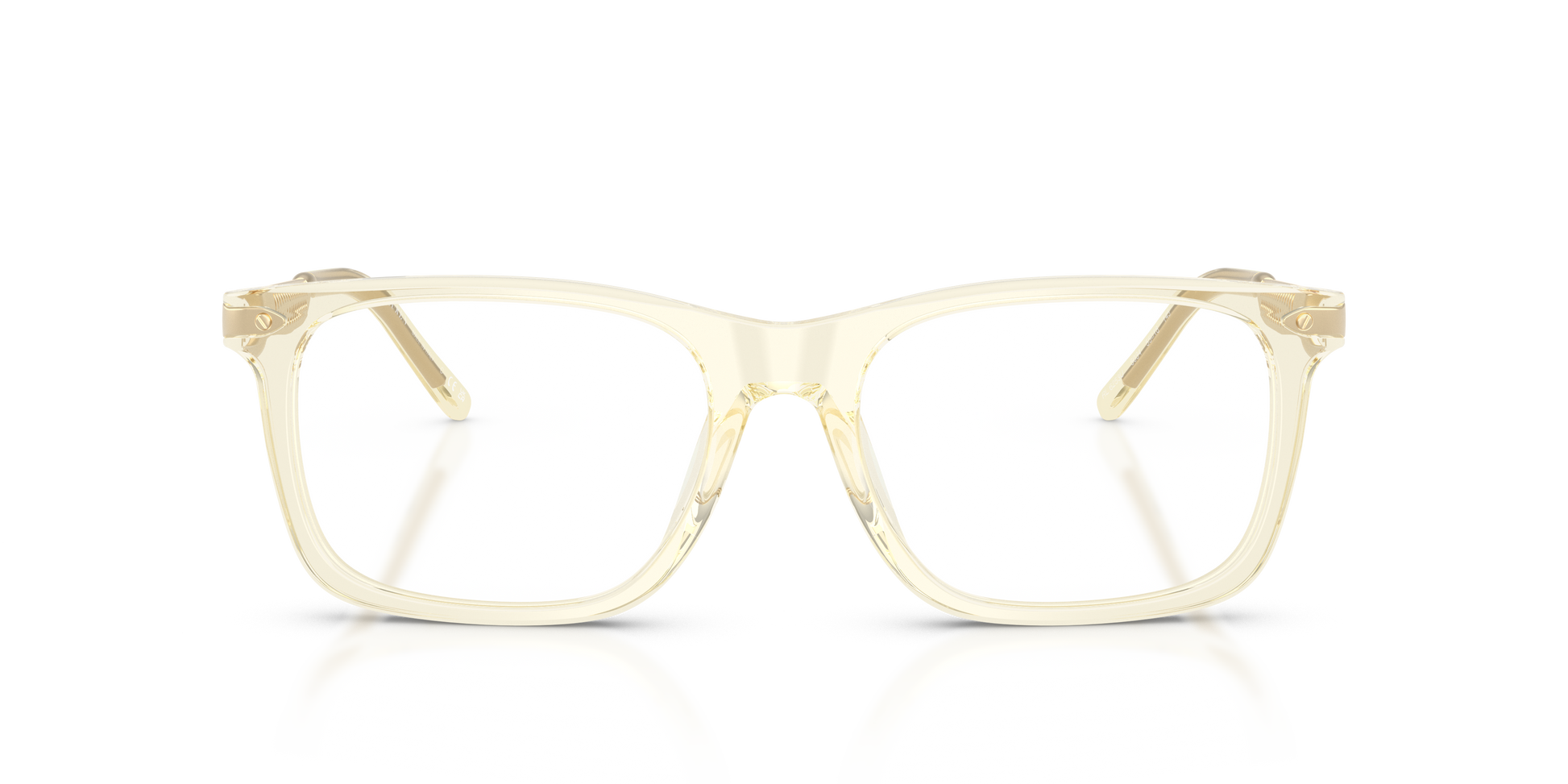 Ralph Lauren RL6253U 5034
