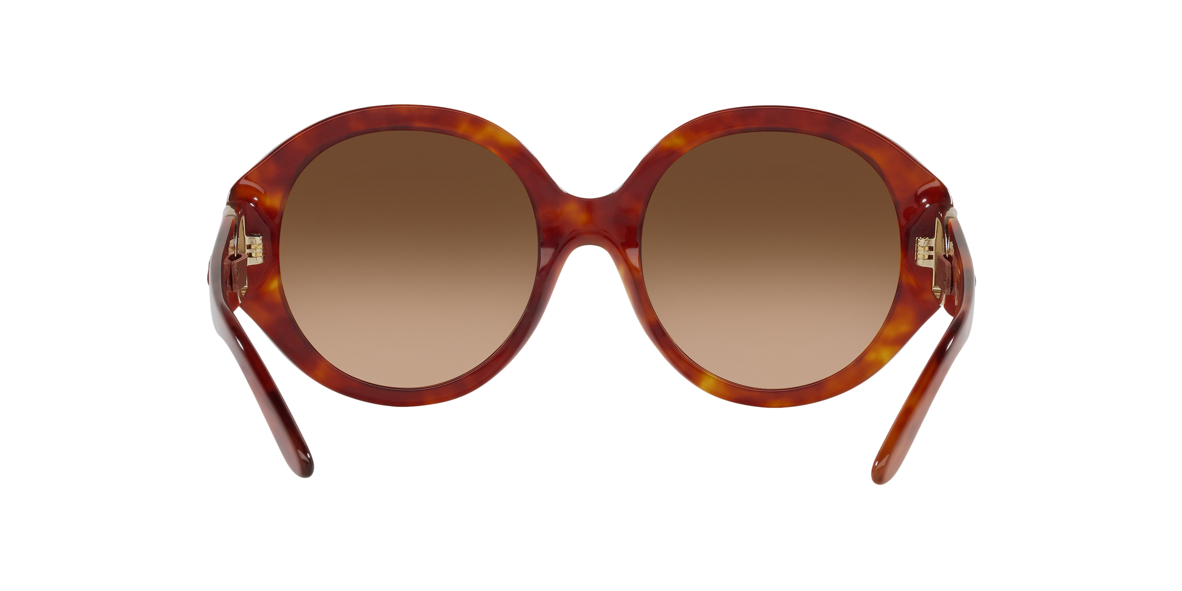 Ralph Lauren RL8188Q 502374 56